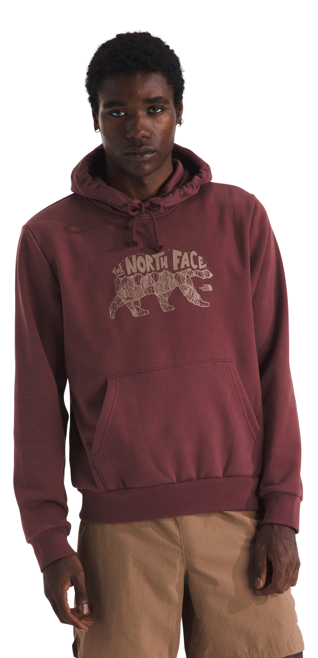 Image of The North Face Evolution Bear Graphic Hoodie - Sumac