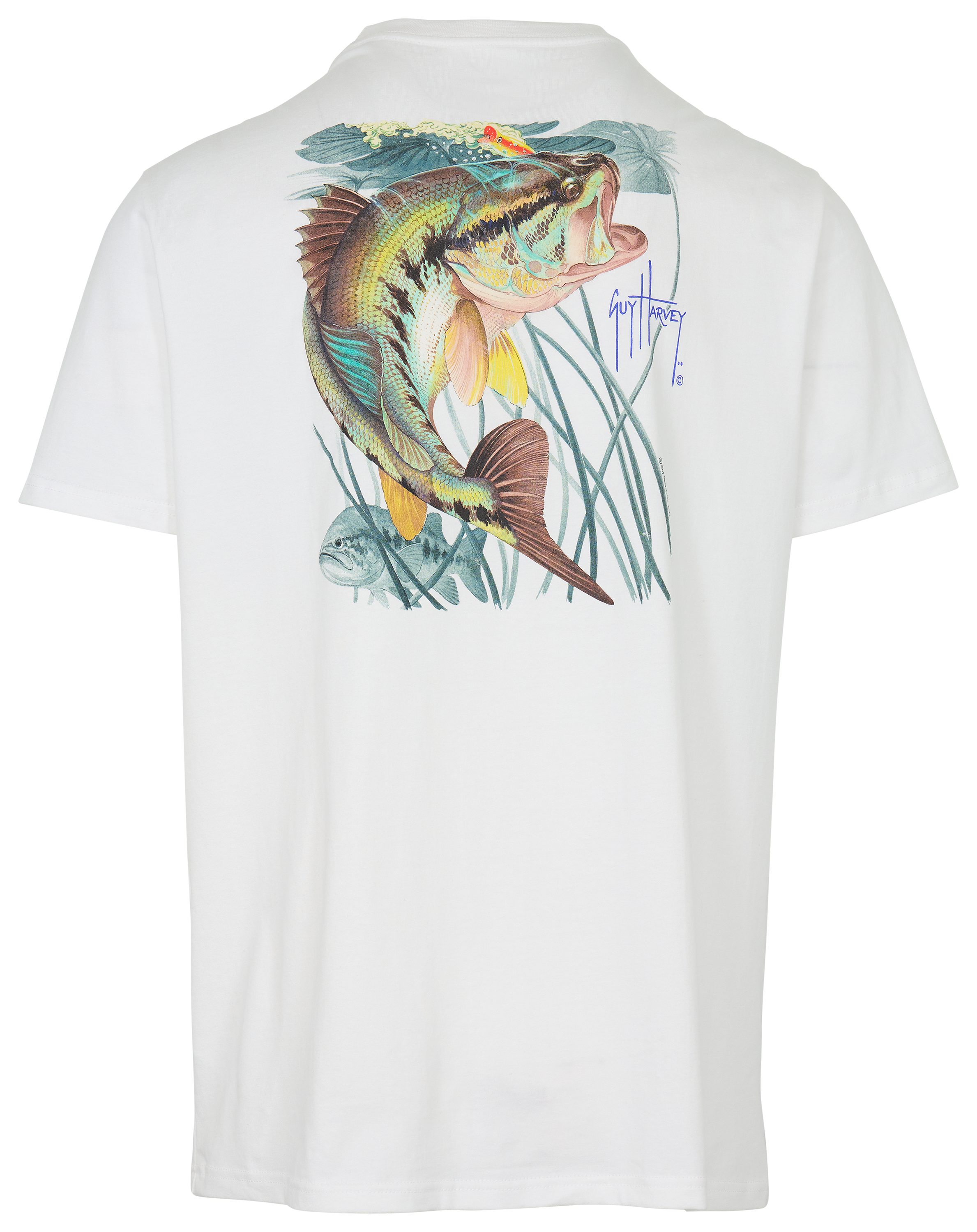 T-shirt Homme Guy Harvey – Bleu, Taille L – Graphique – Occasion Très Bon état