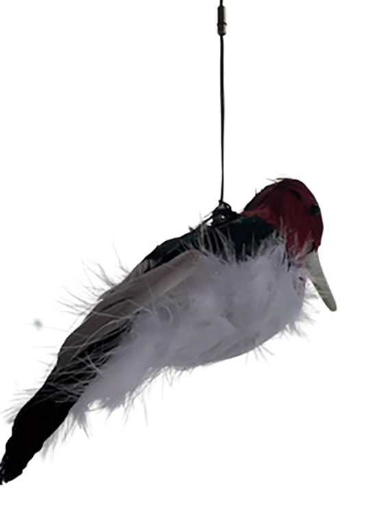 Image of Slockmaster Kill Chirp Electronic Trap Call