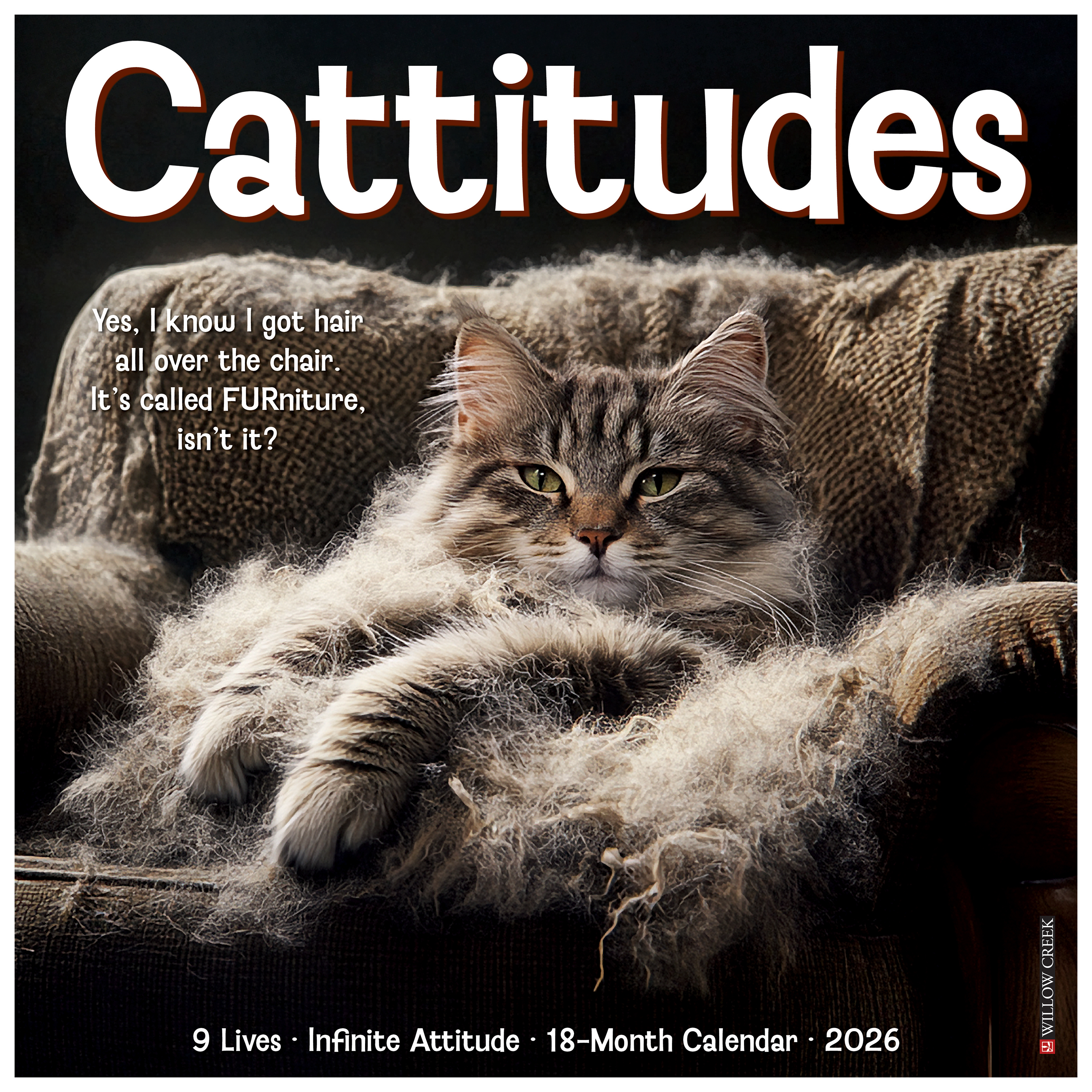 Image of Willow Creek Press 2026 Cattitudes 18-Month Wall Calendar