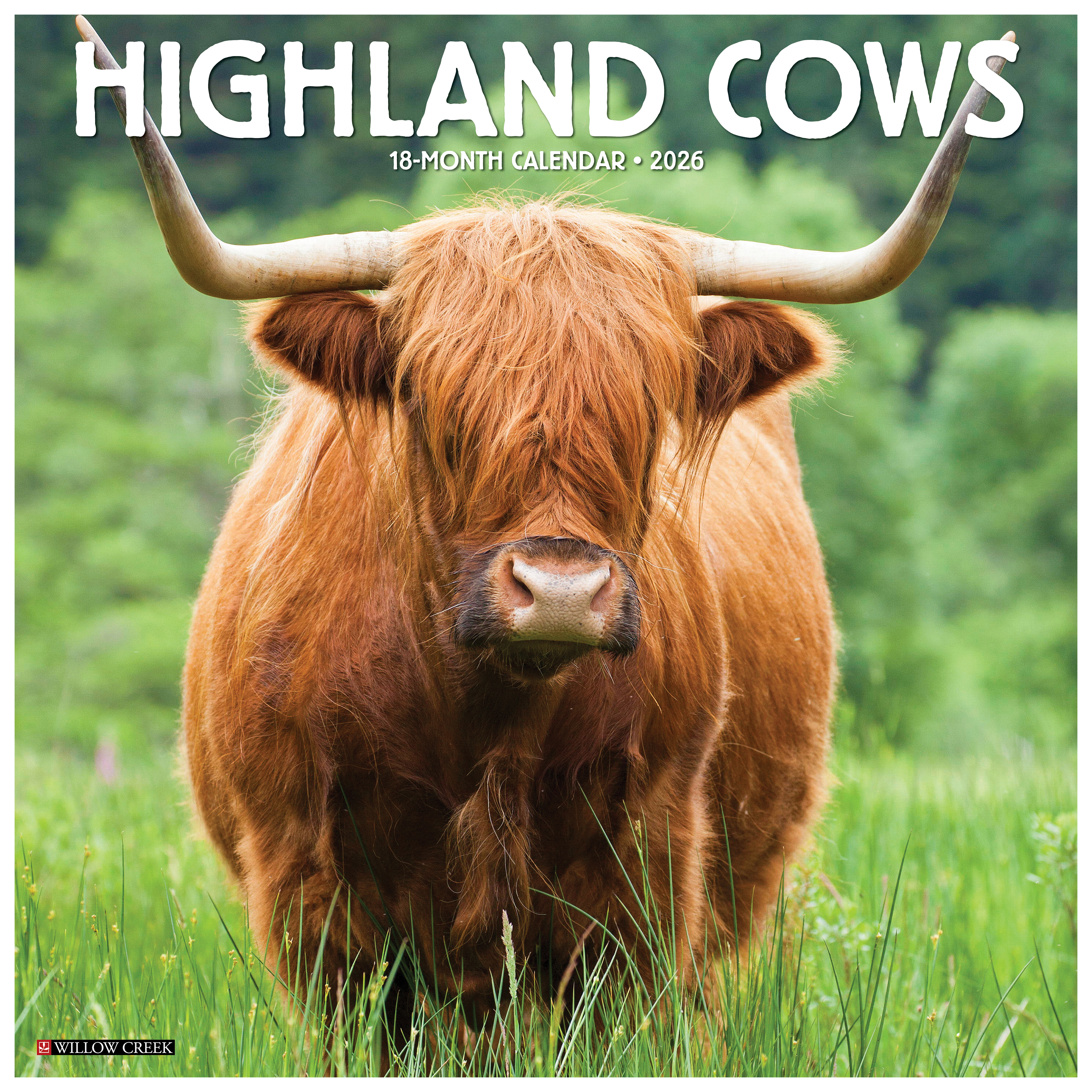 Image of Willow Creek Press 2026 Highland Cows 18-Month Wall Calendar