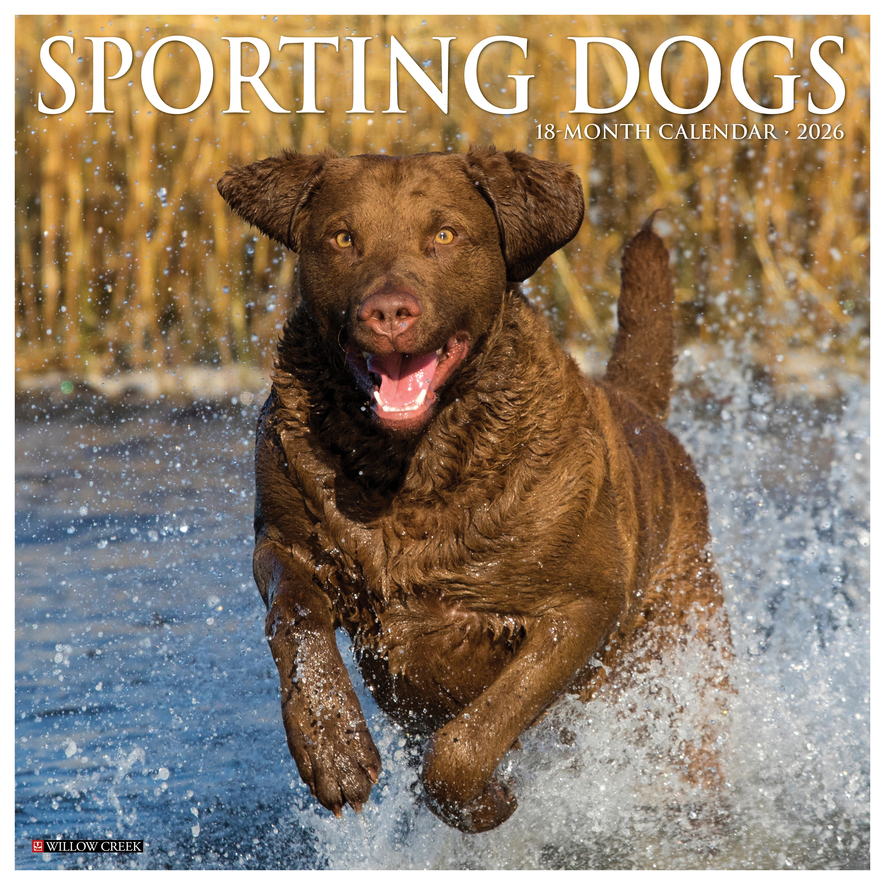 Image of Willow Creek Press 2026 Sporting Dogs 18-Month Wall Calendar