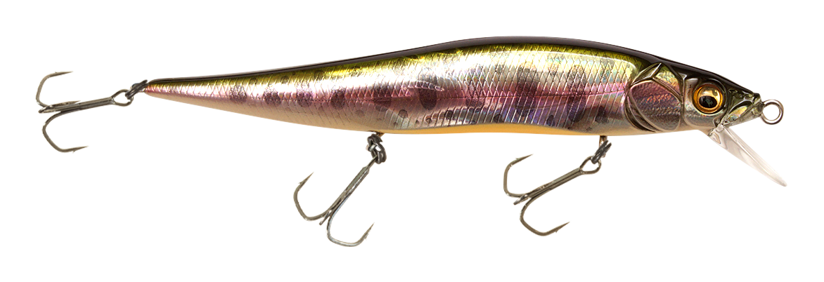 Image of Megabass Vision ONETEN Jr. - GG Trout Orange Belly