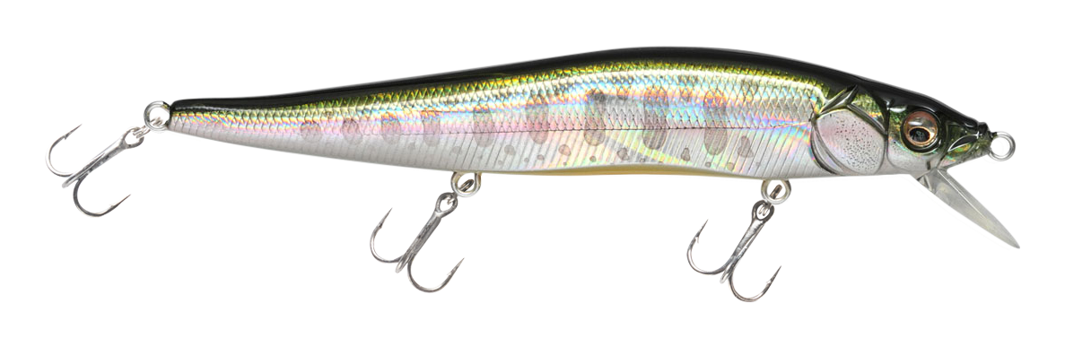 Image of Megabass Vision ONETEN - GG Trout Orange Belly