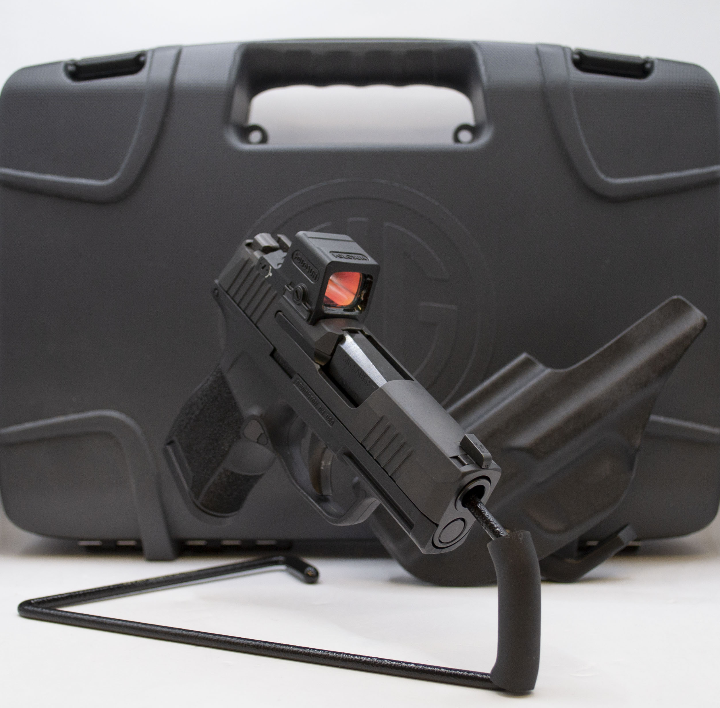 SIG Sauer~P365~9MM - Bass Pro Shops