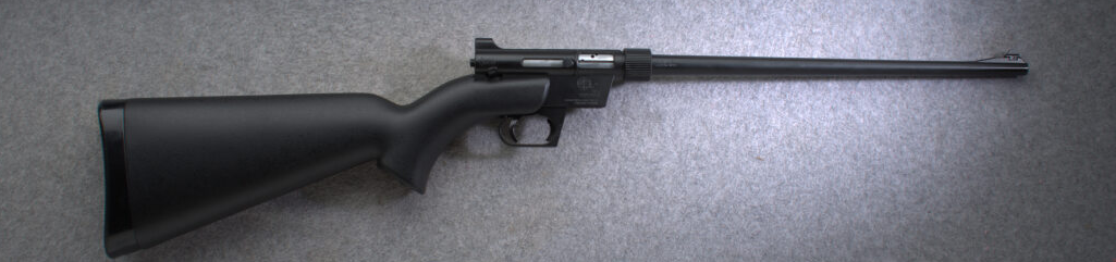 Image of Armalite ~ AR-7 Explorer ~ .22 LR