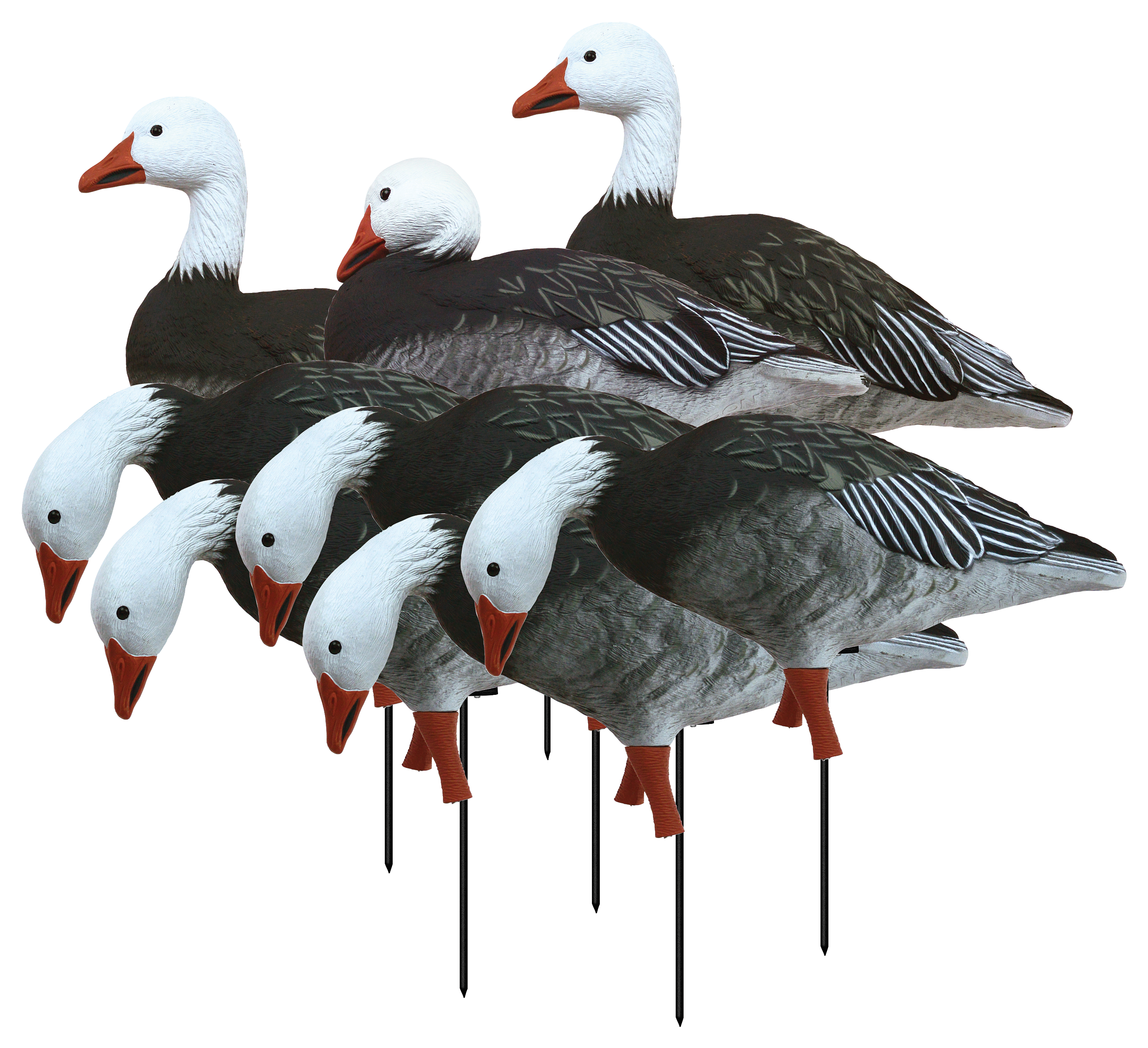 HIGDON Full-Size Full-Body Blue-Goose Decoys 8 Pack