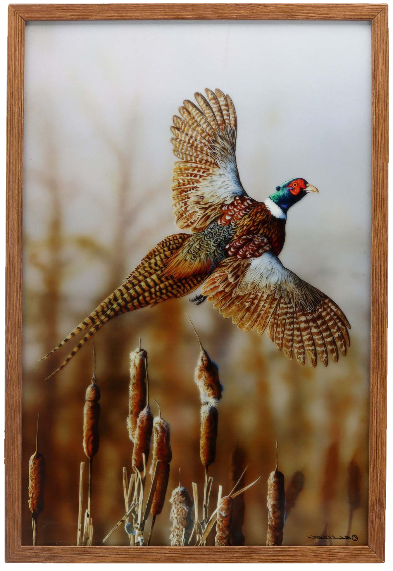 Image of Open Road Brands Pheasant on Framed Acrylic