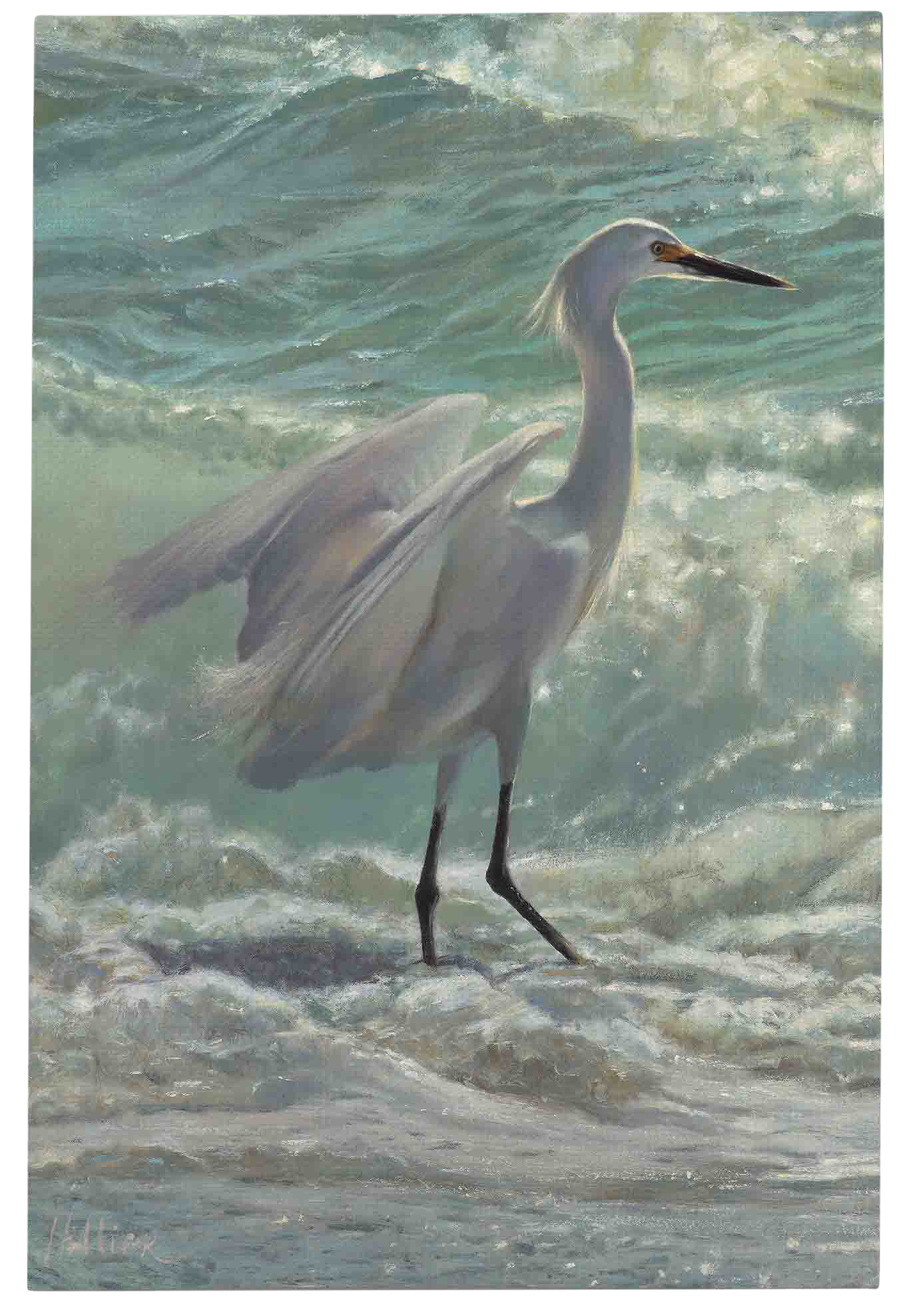 Image of Open Road Brands Egret Stretched Canvas Wall Art