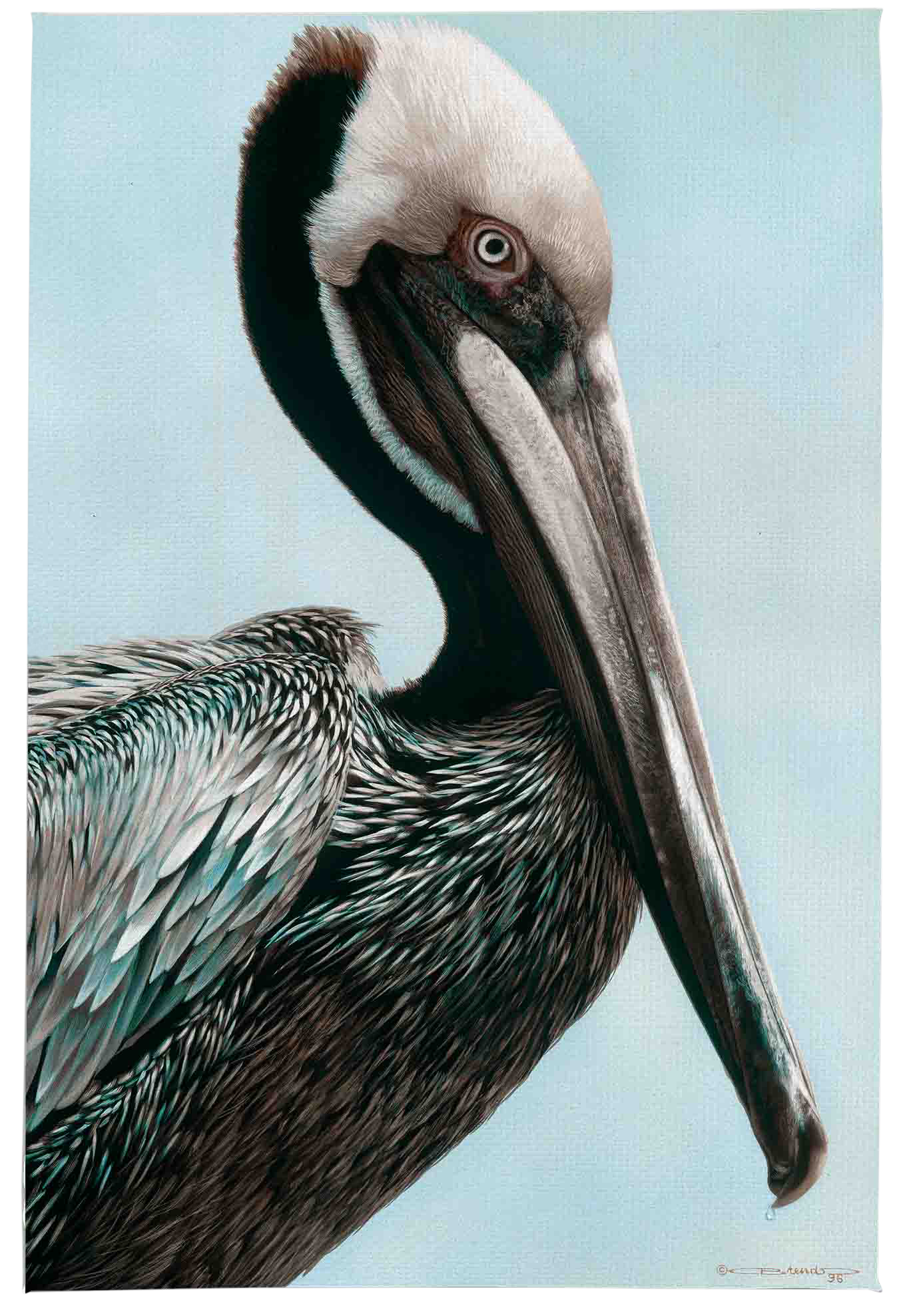 Image of Open Road Brands Pelican Stretched Canvas Wall Art