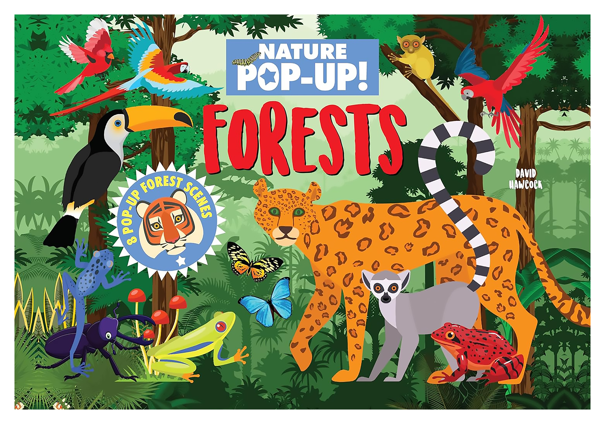 Image of Nature Pop-Up! Forests Pop-Up Book by David Hawcock