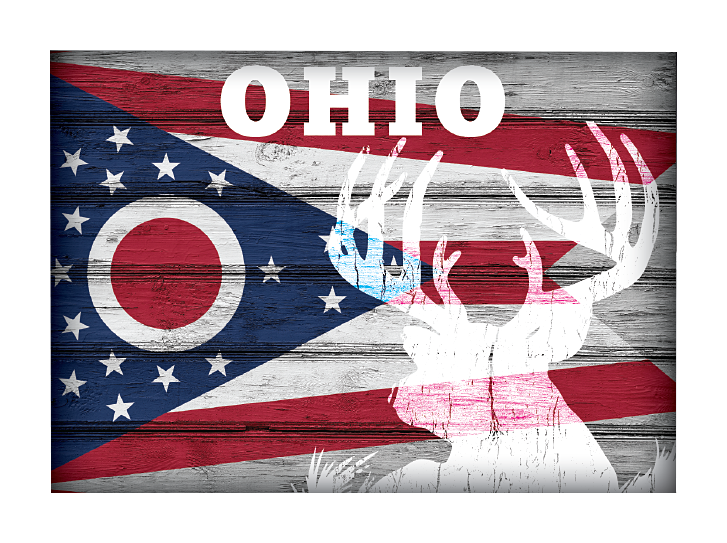 Image of Everyone Loves Buttons Ohio Hunting-Themed State Flag Souvenir Magnet