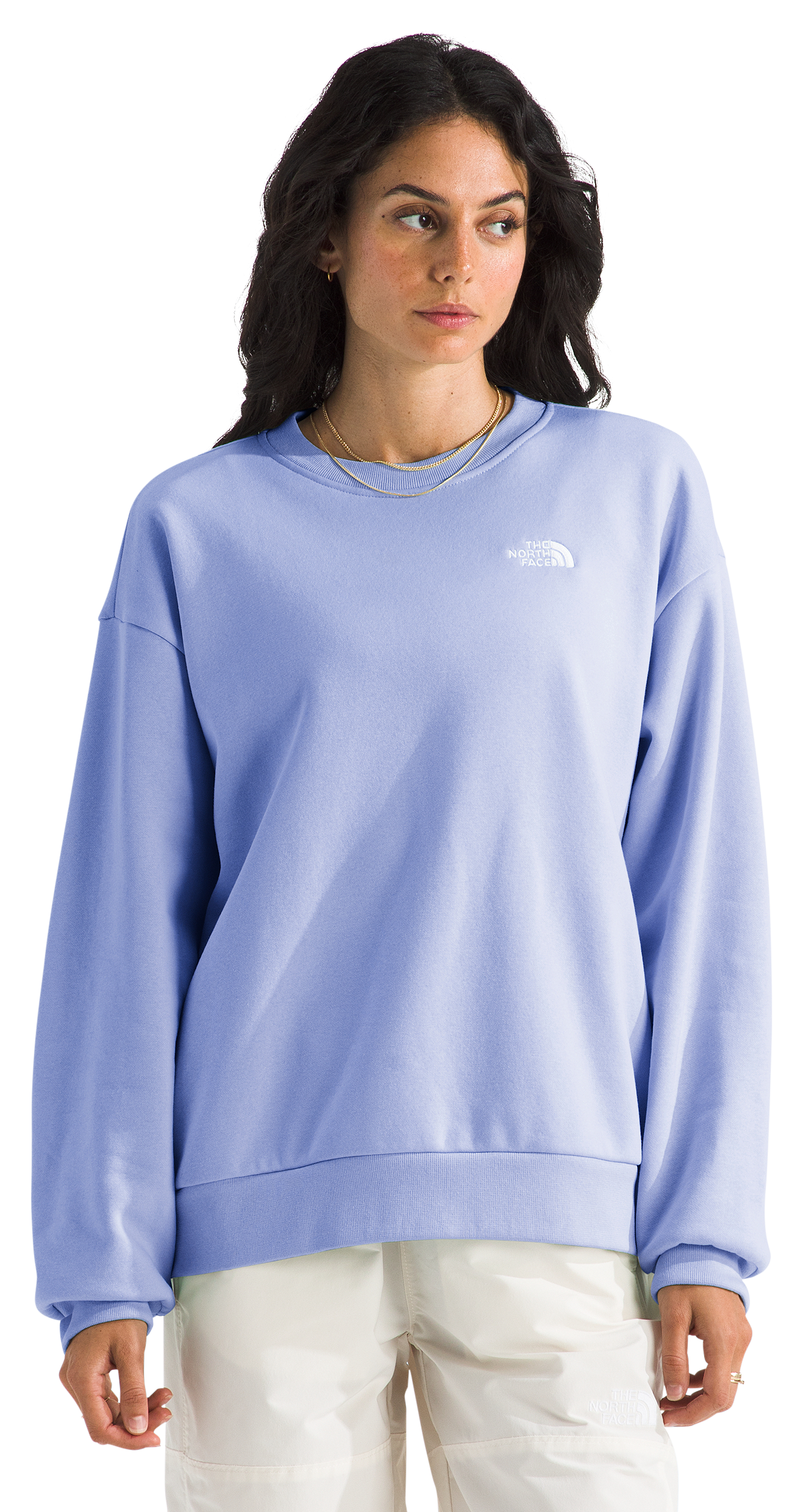 Image of The North Face Evolution Simple Dome Oversized Crew-Neck Sweatshirt - Periwinkle Glow
