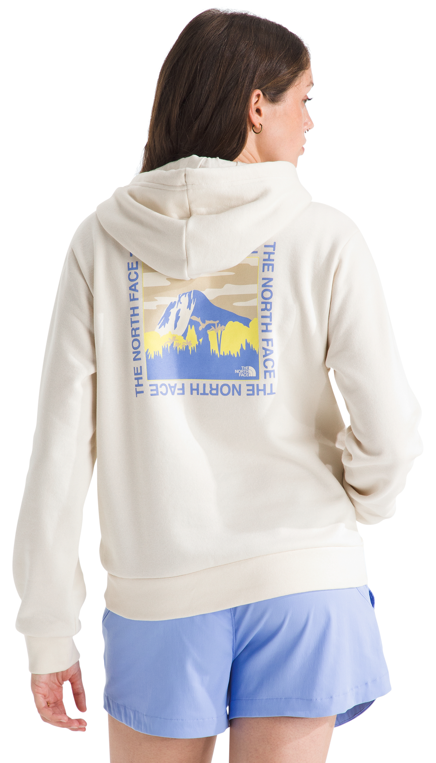 Image of The North Face All Day Beauty Graphic Hoodie - White Dune