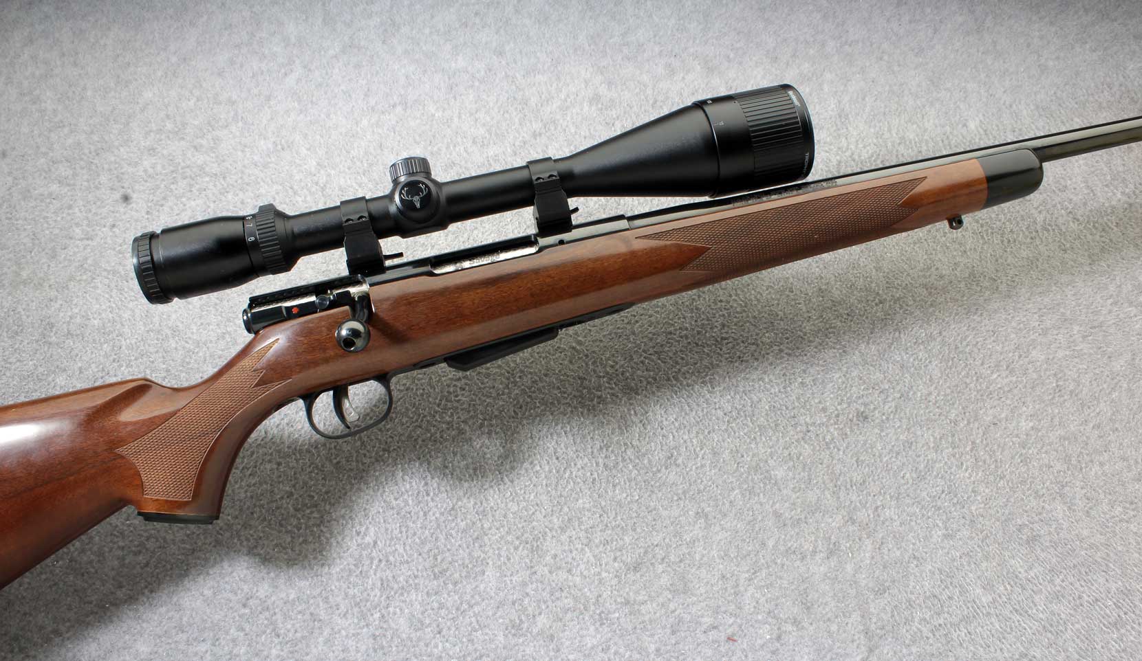 ++SAVAGE 25 .204 RUGER - Savage Arms