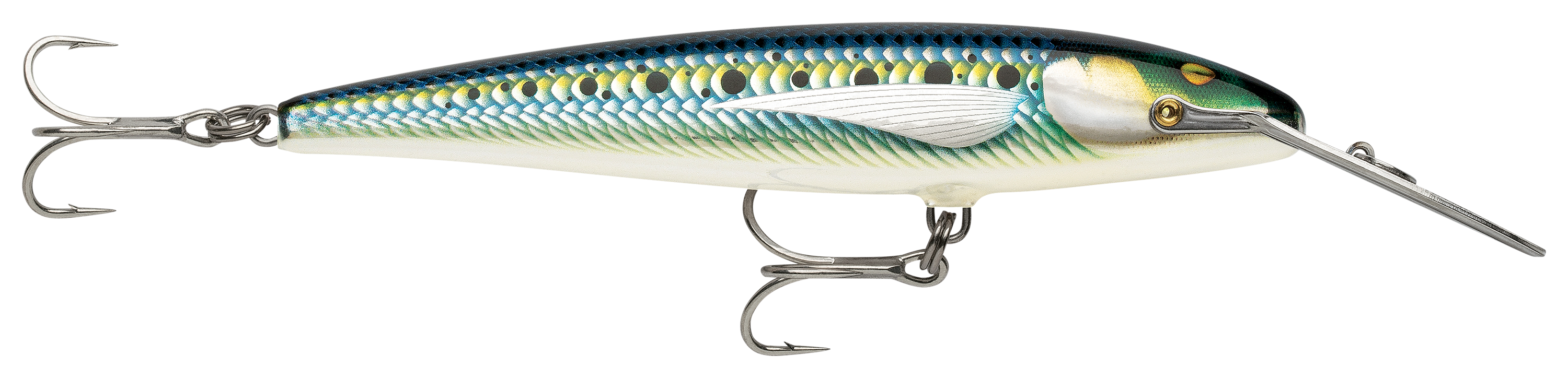 Image of "Rapala Countdown Magnum Elite - Armored Sardine - 7"""