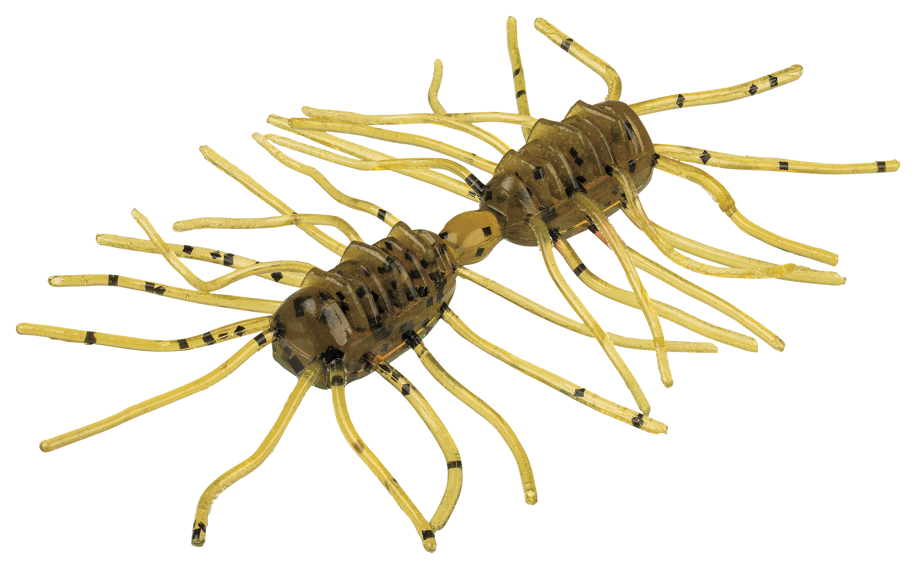 Image of "Strike King Sexy Bug - Green Pumpkin - 3"""