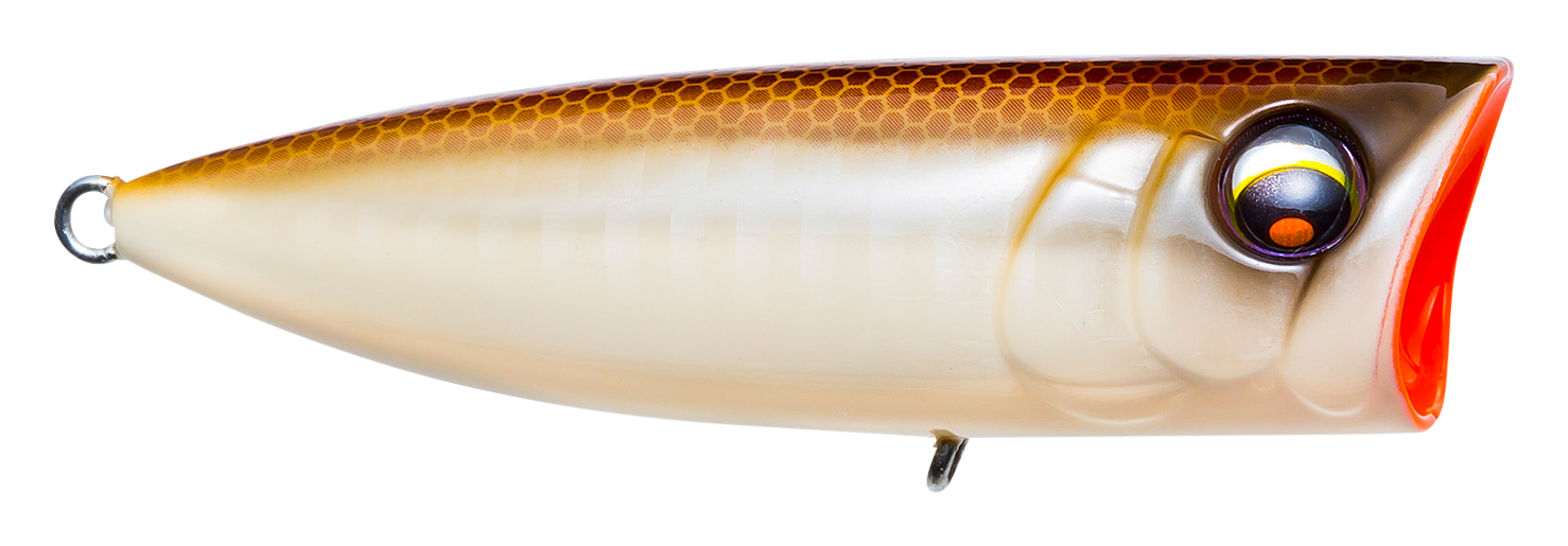 Image of Yo-Zuri Pro Series Popper - Bone