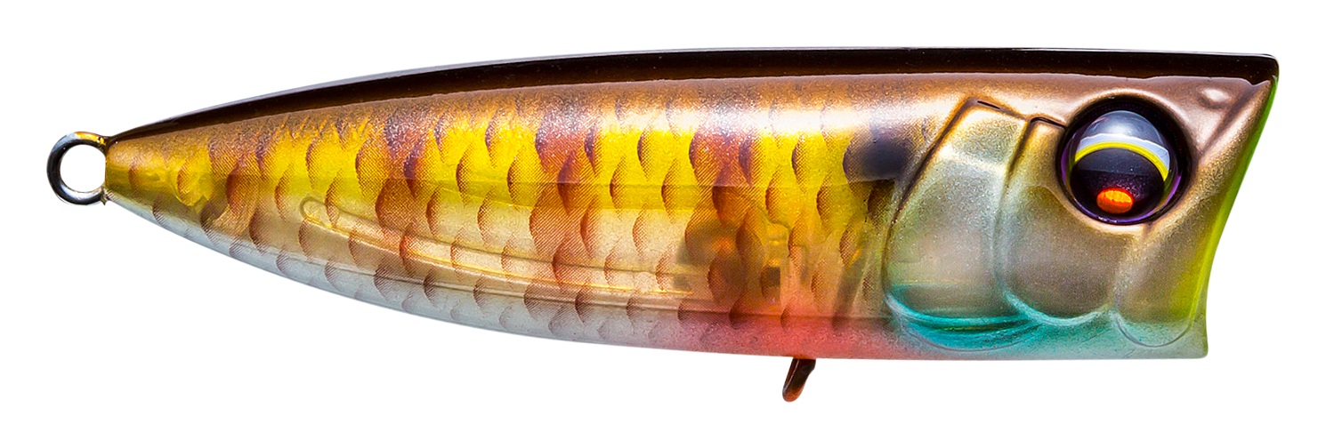 Image of Yo-Zuri Pro Series Popper - Bluegill