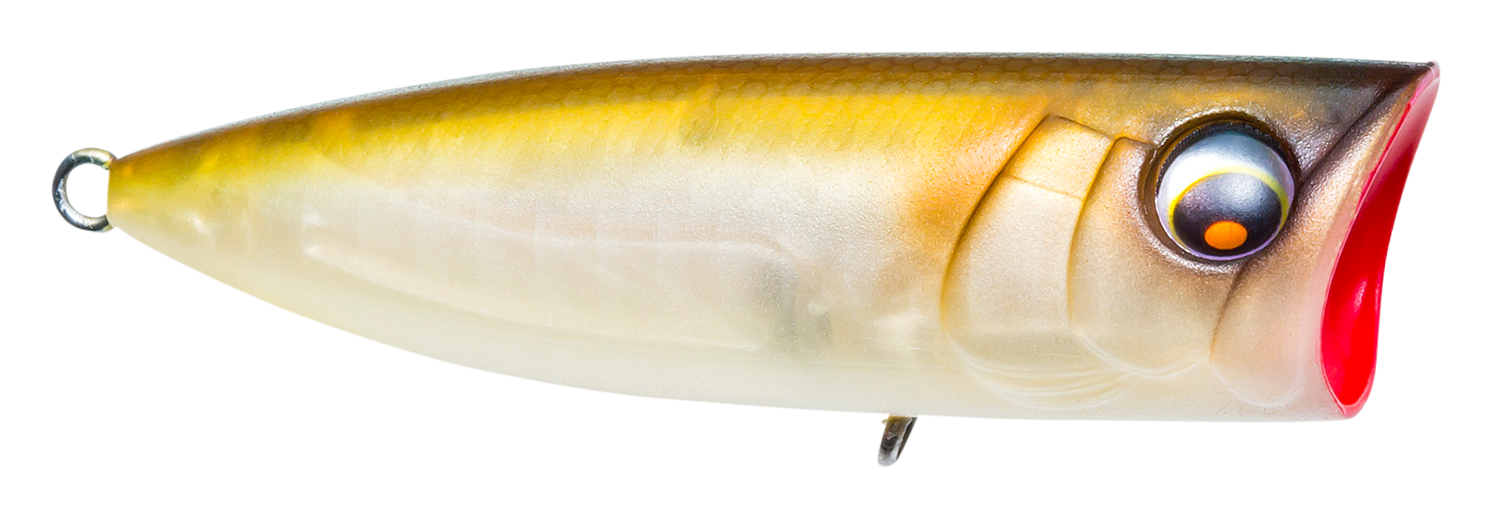 Image of Yo-Zuri Pro Series Popper - Matte Shad