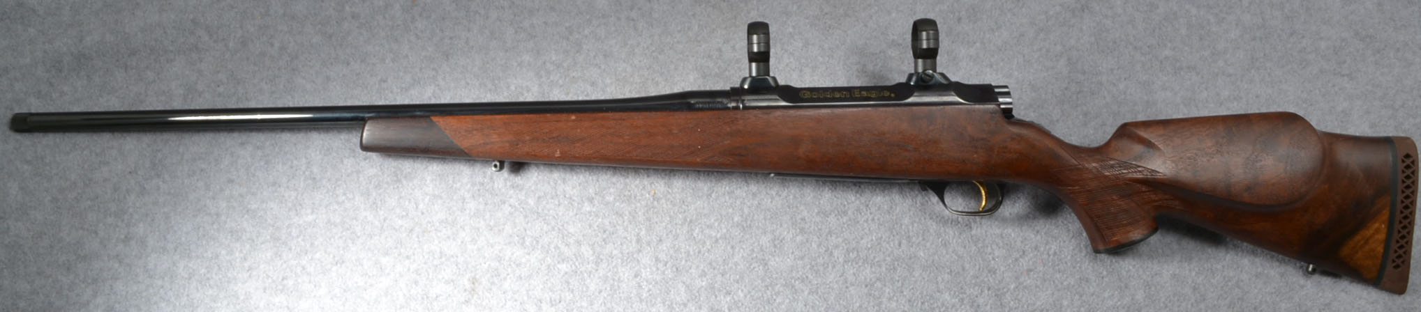 Image of Golden Eagle 7000