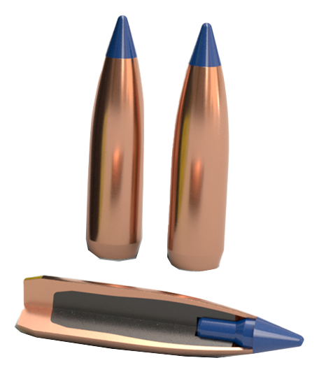 Nosler Ballistic Tip Boat Tail Bullets - 95 gr. - .243 dia. - Ballistic Tip Hunting