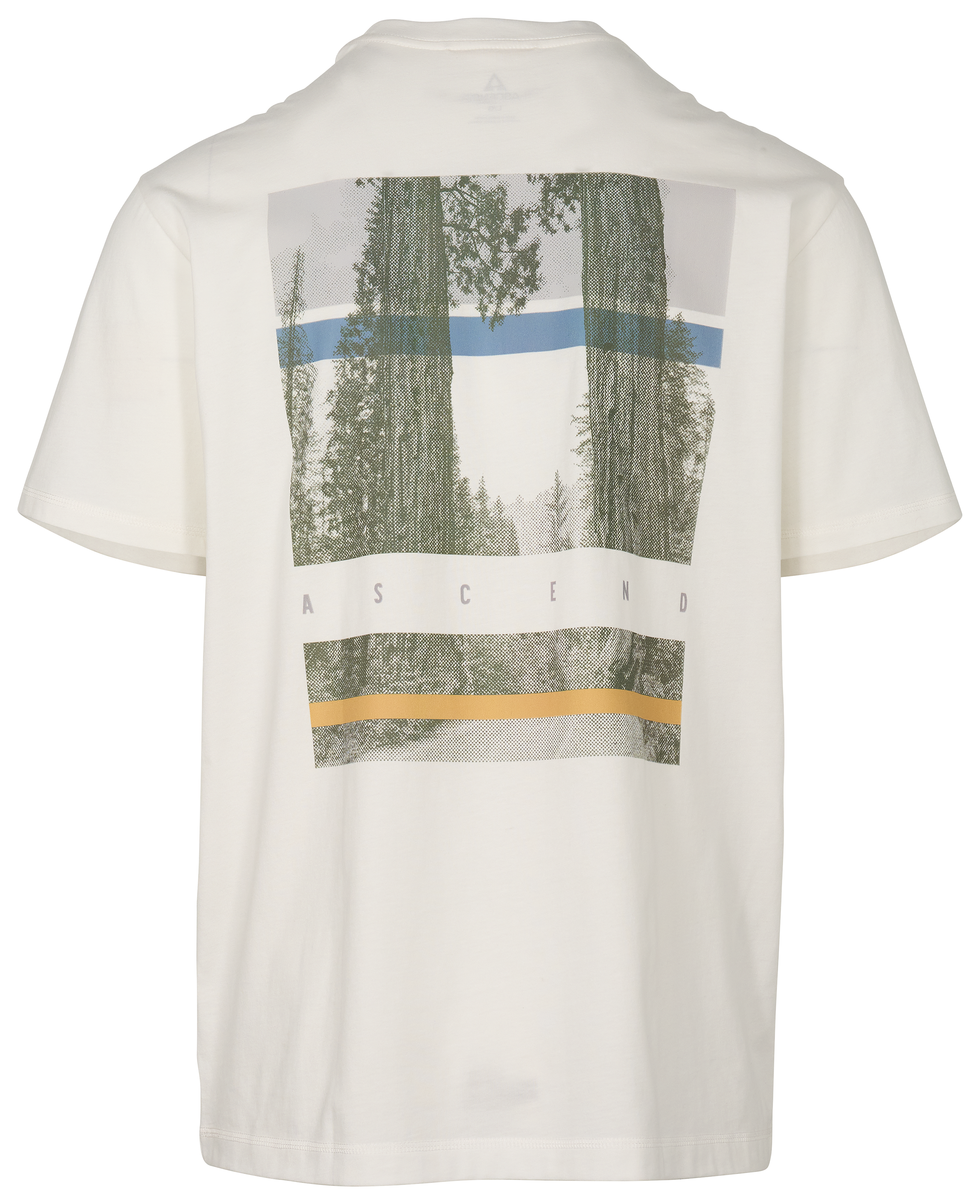Image of Ascend Tree Graphic Short-Sleeve T-Shirt - Coconut Milk