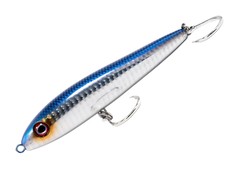 Image of Dark Matter Feeder Minnow - Mullet