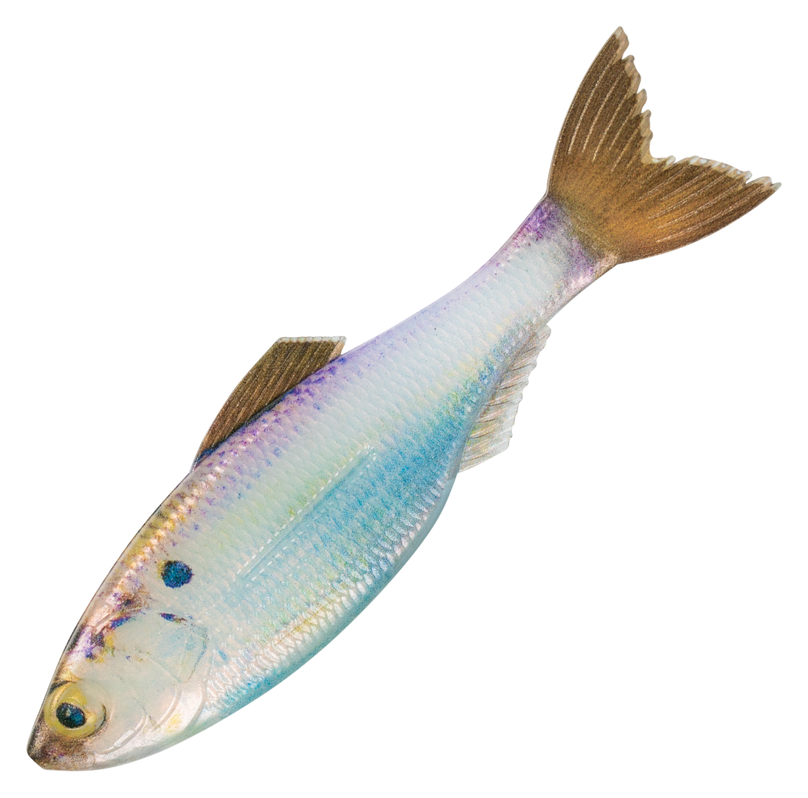 Image of "6th Sense Fishing Panorama Plump 5.0 Jerkbait - Live Gizzard Shad - 5"""