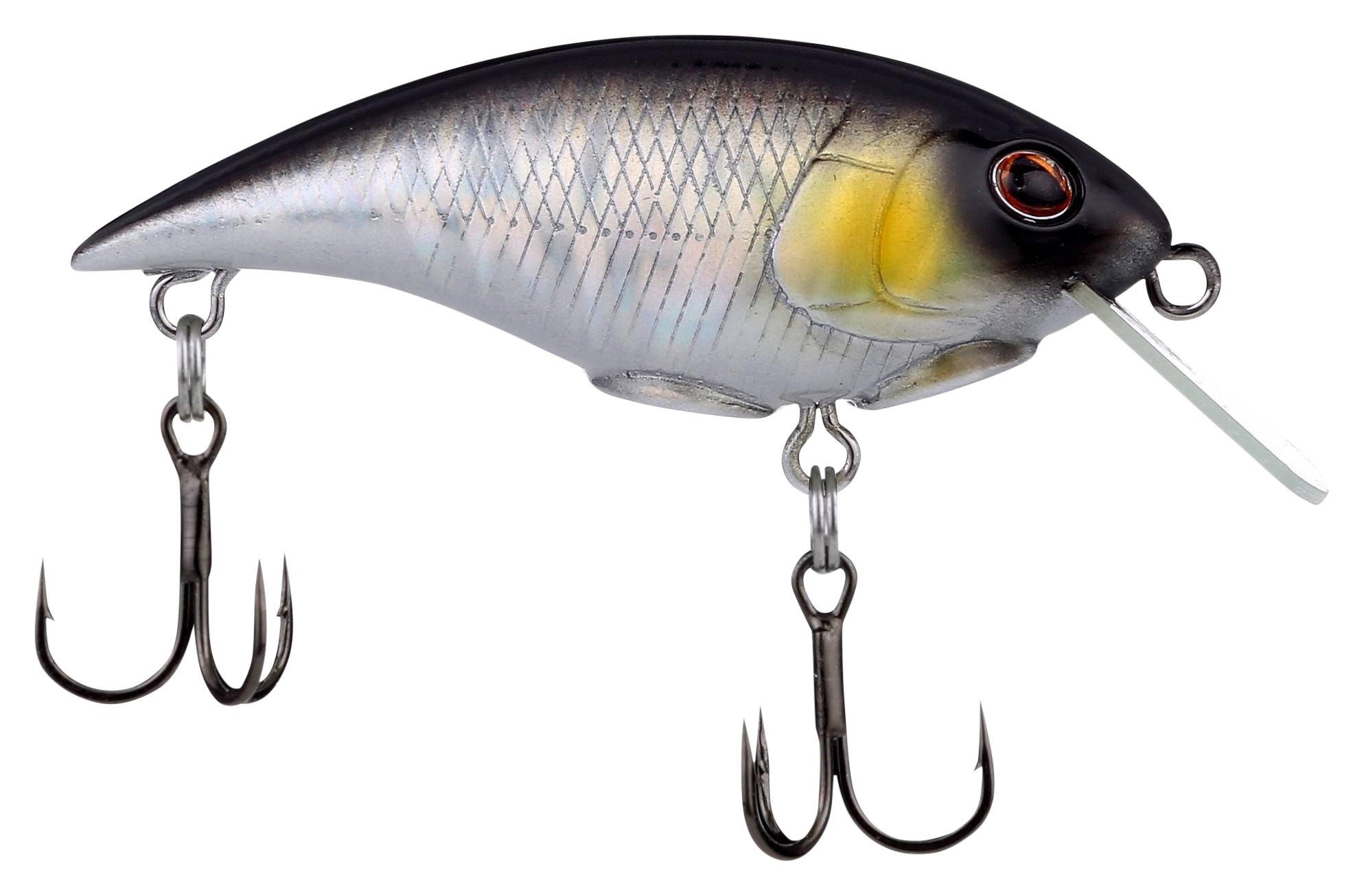 Image of Berkey Shallow Money Badger - Black Silver - 2-1/2''