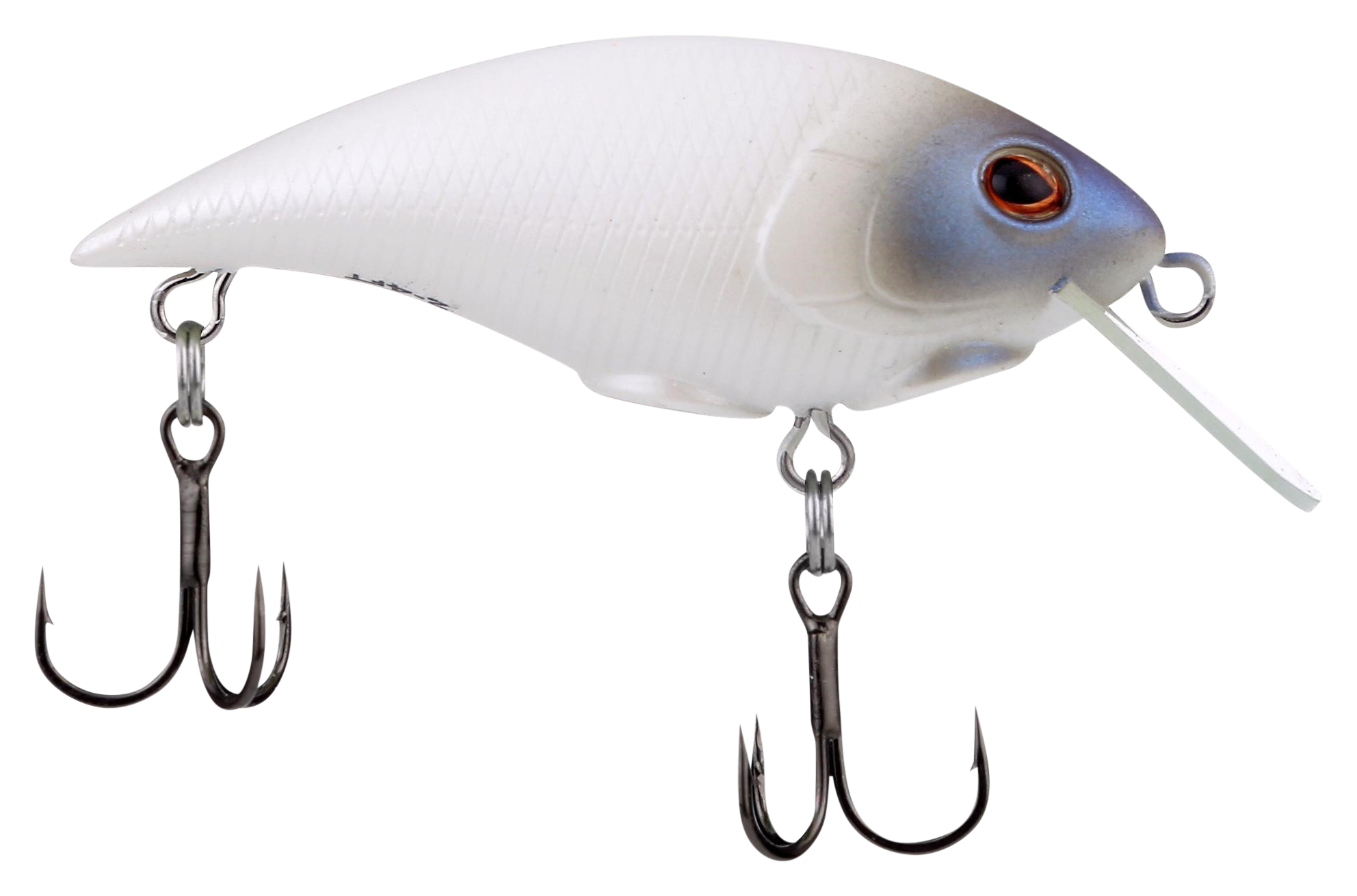 Image of Berkey Shallow Money Badger - Blue Frost - 2-1/2''