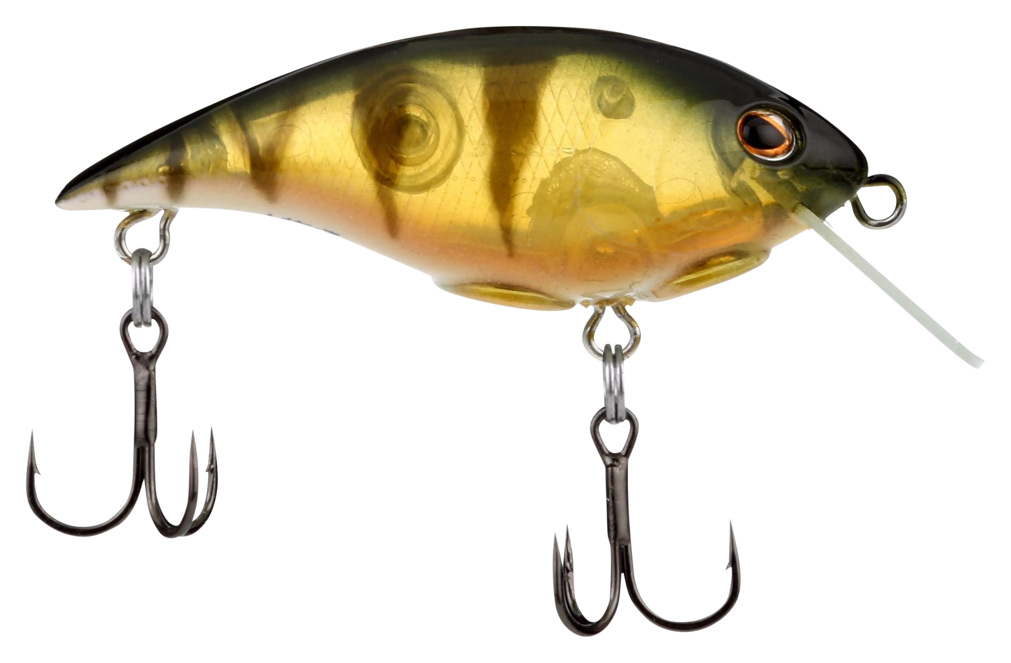 Image of Berkey Shallow Money Badger - Perch - 2-1/2''