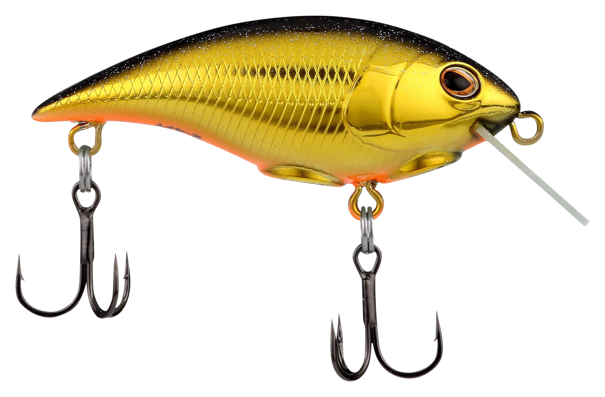 Image of Berkey Shallow Money Badger - Black Gold - 2-3/4''