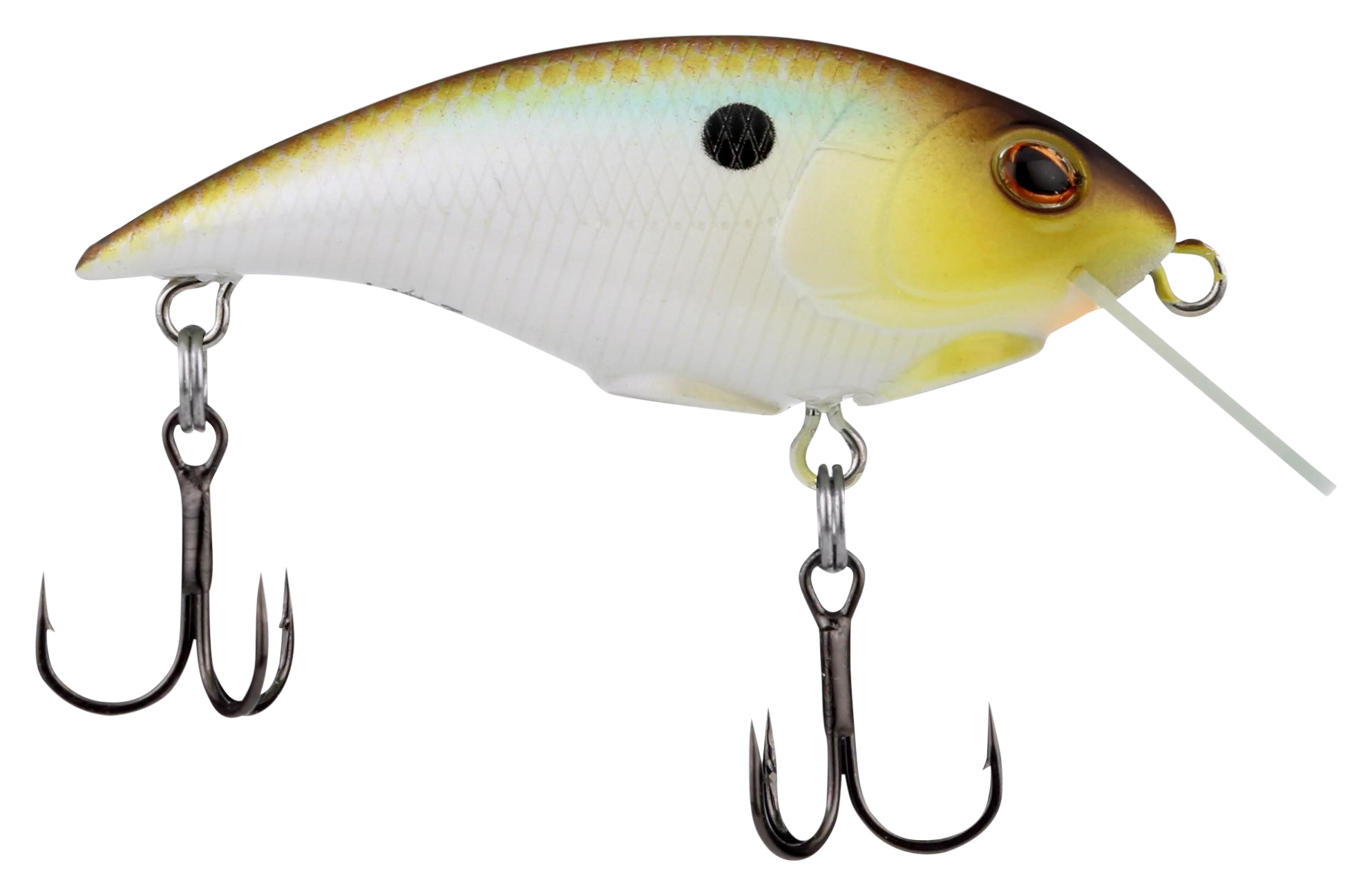 Image of Berkley Shallow Money Badger Crankbait