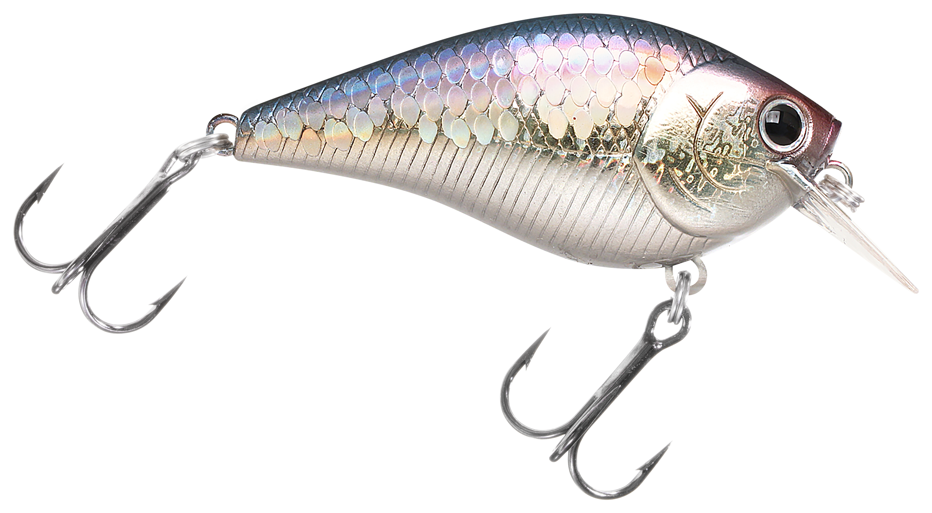 Image of Lucky Craft Square Bill Crankbait - 1/2 oz. - MS American Shad