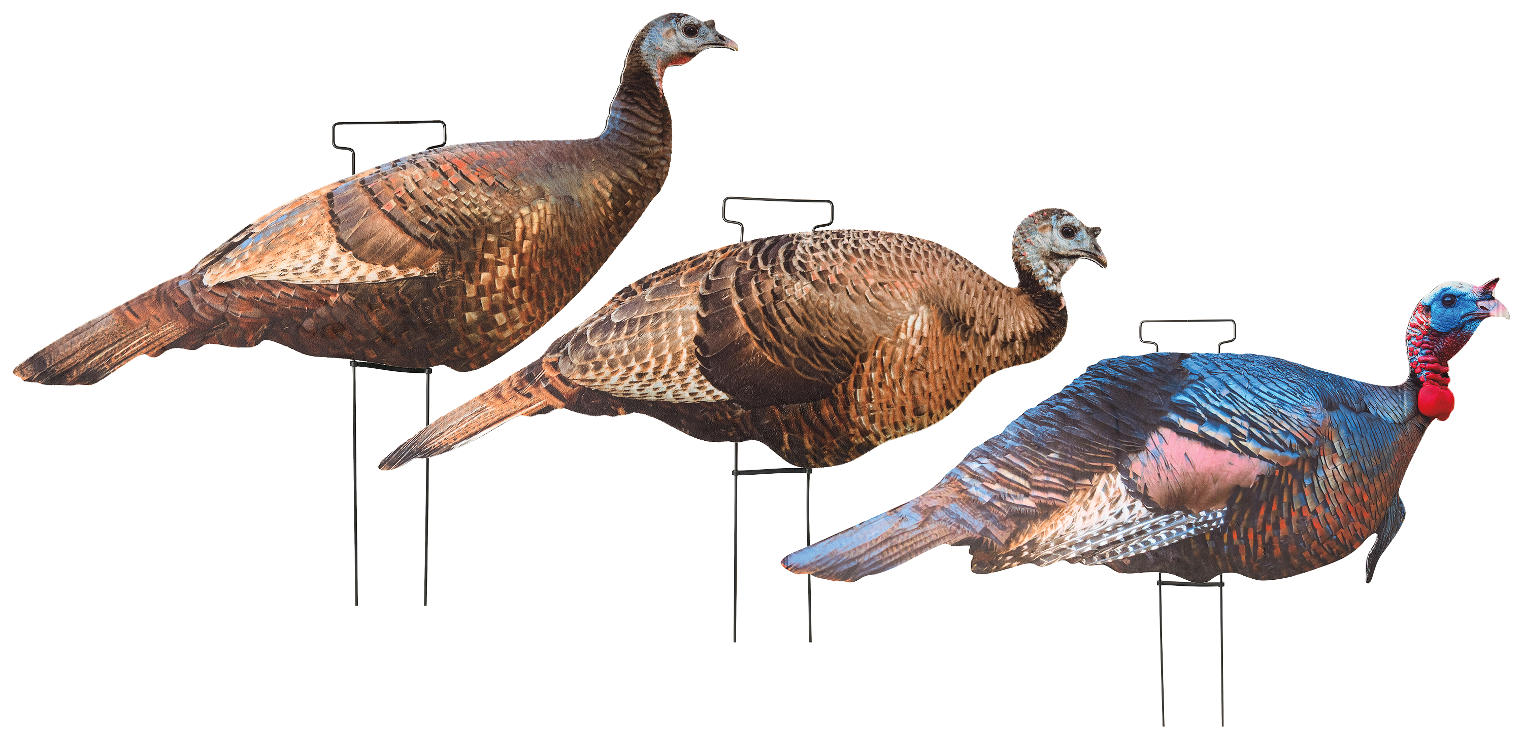 Image of Cabela's Jake and Hens Flocked Silhouette Turkey Decoy 3-Pack