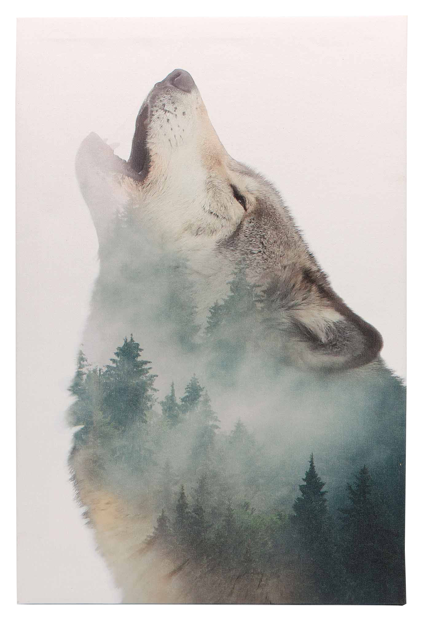 Image of Open Road Brands Spirit of the Wild Canvas Wall Art