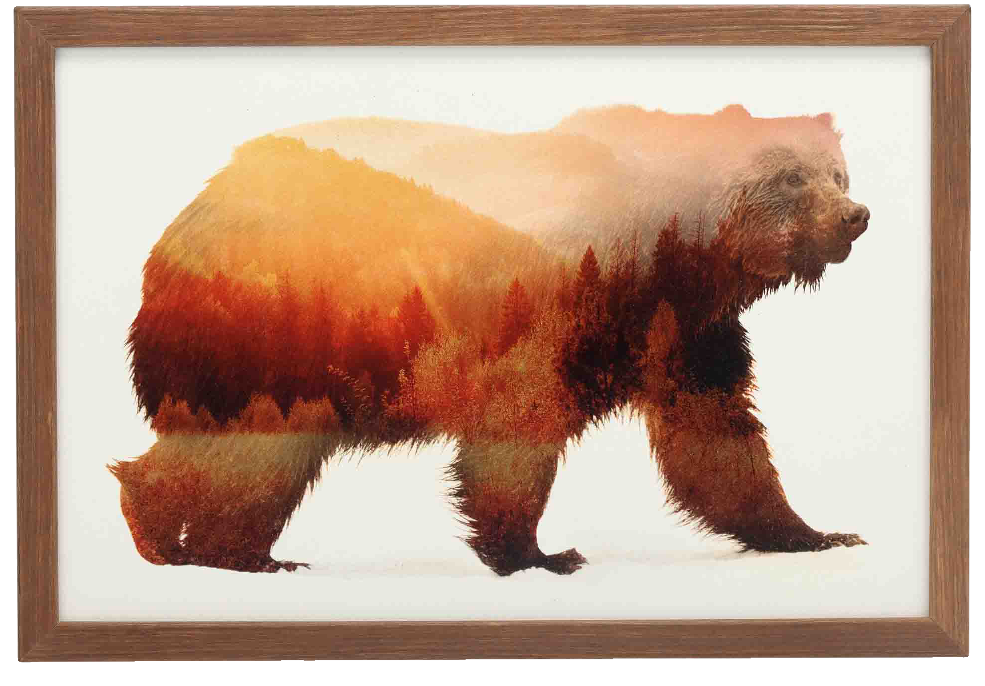 Image of Open Road Brands Bear Framed Wall Art