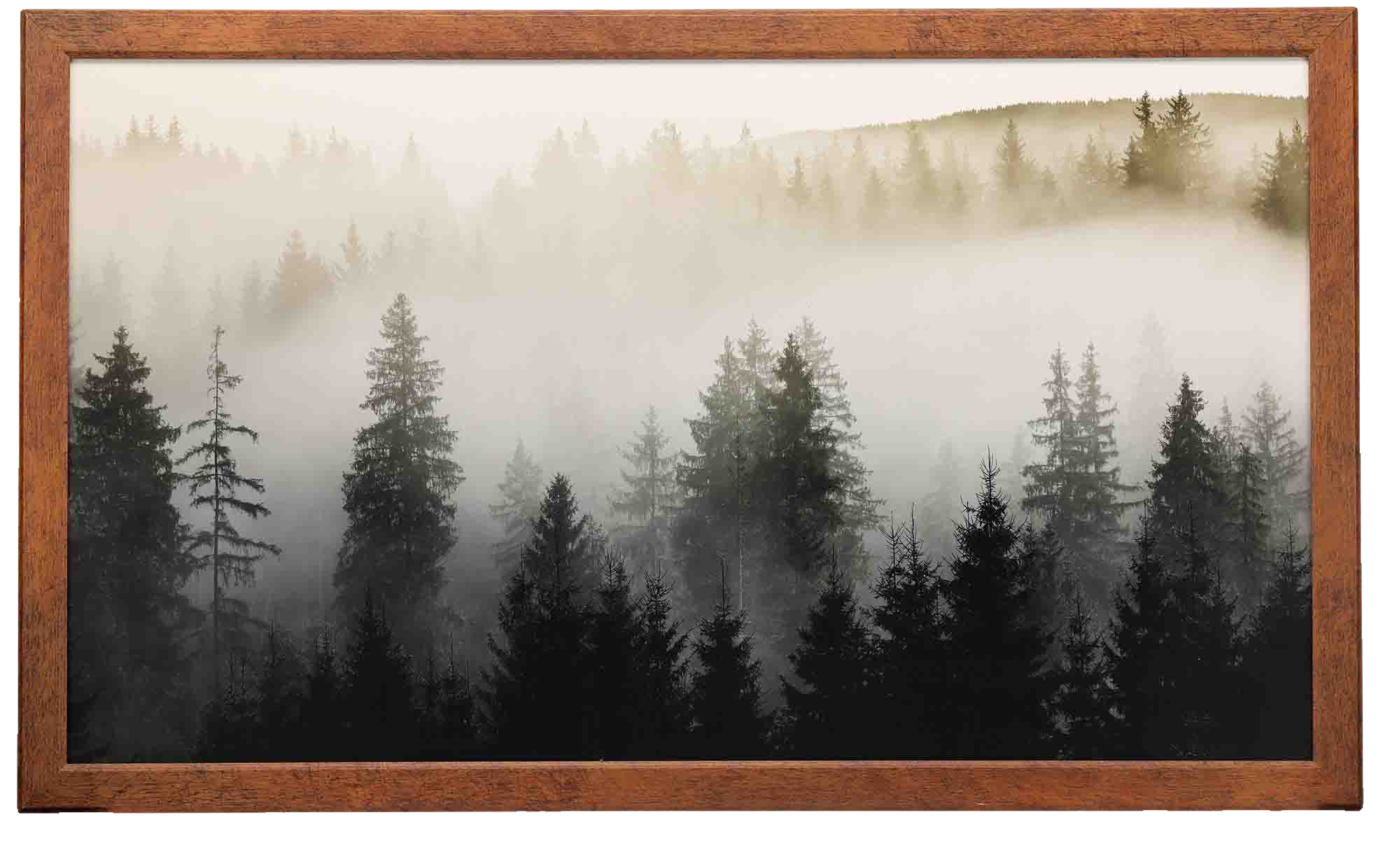 Image of Open Road Brands Misty Trees Framed Canvas Wall Art