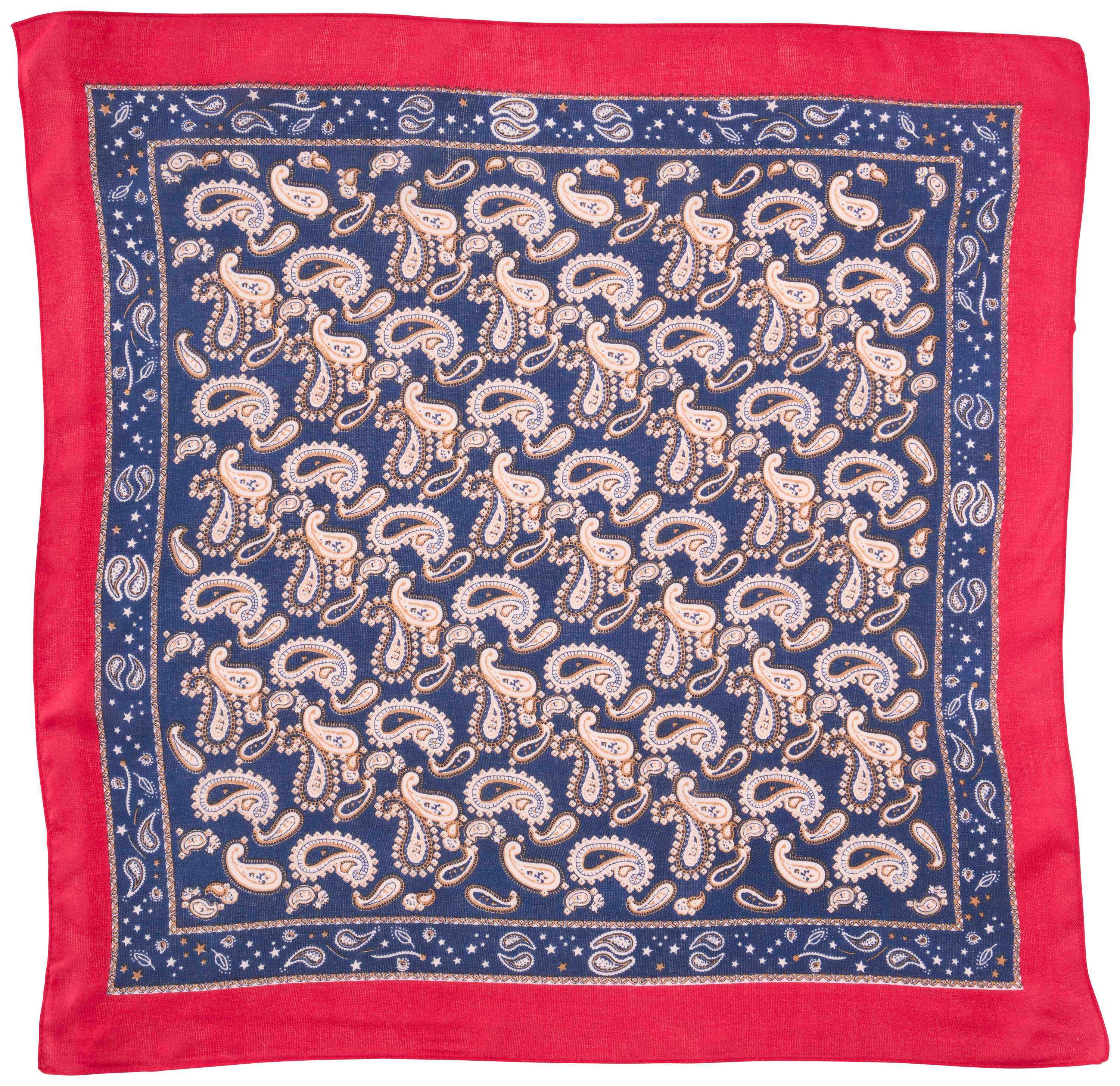Image of Natural Reflections Paisley Bandana