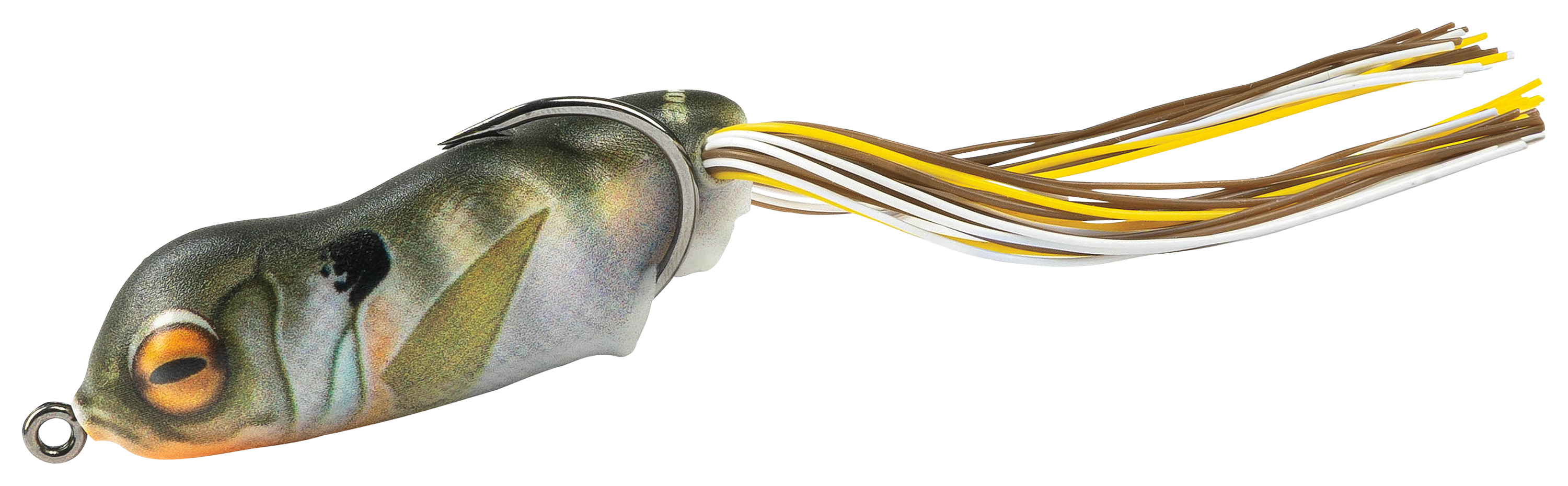 Image of Scum Frog Leap Frog - Bluegill