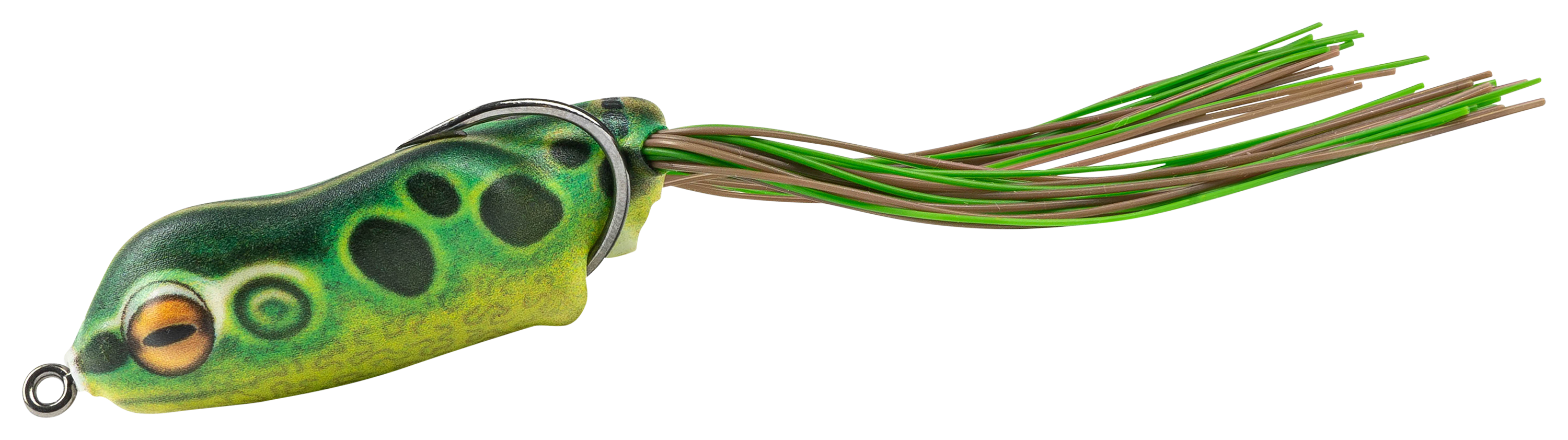 Image of Scum Frog Leap Frog - Leopard