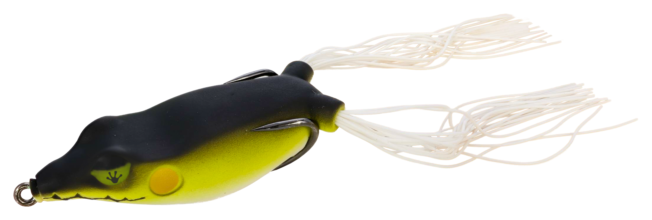 Image of Frog Factory Sonic Boom Frog - Fred's Frog