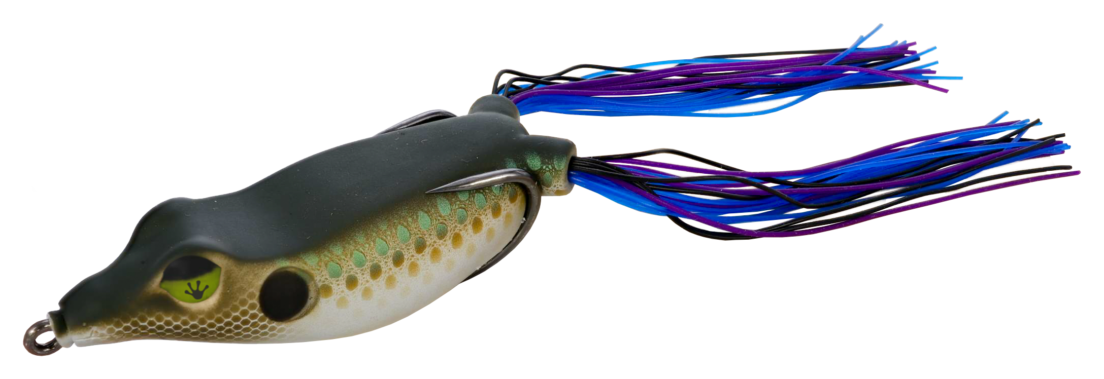 Image of Frog Factory Sonic Boom Frog - Gilly