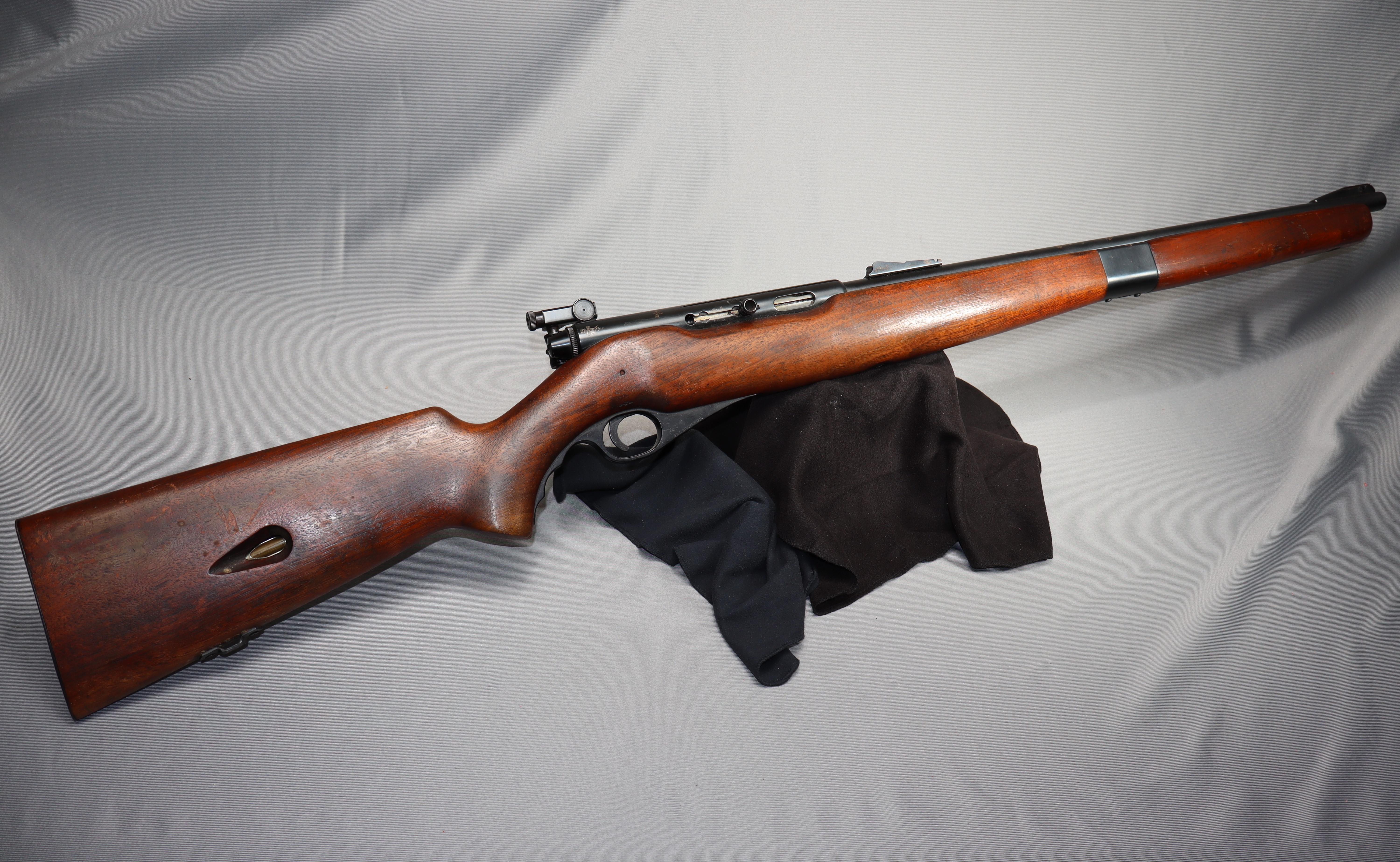 Mossberg ~ 151 M ~ .22 LR - Bass Pro Shops