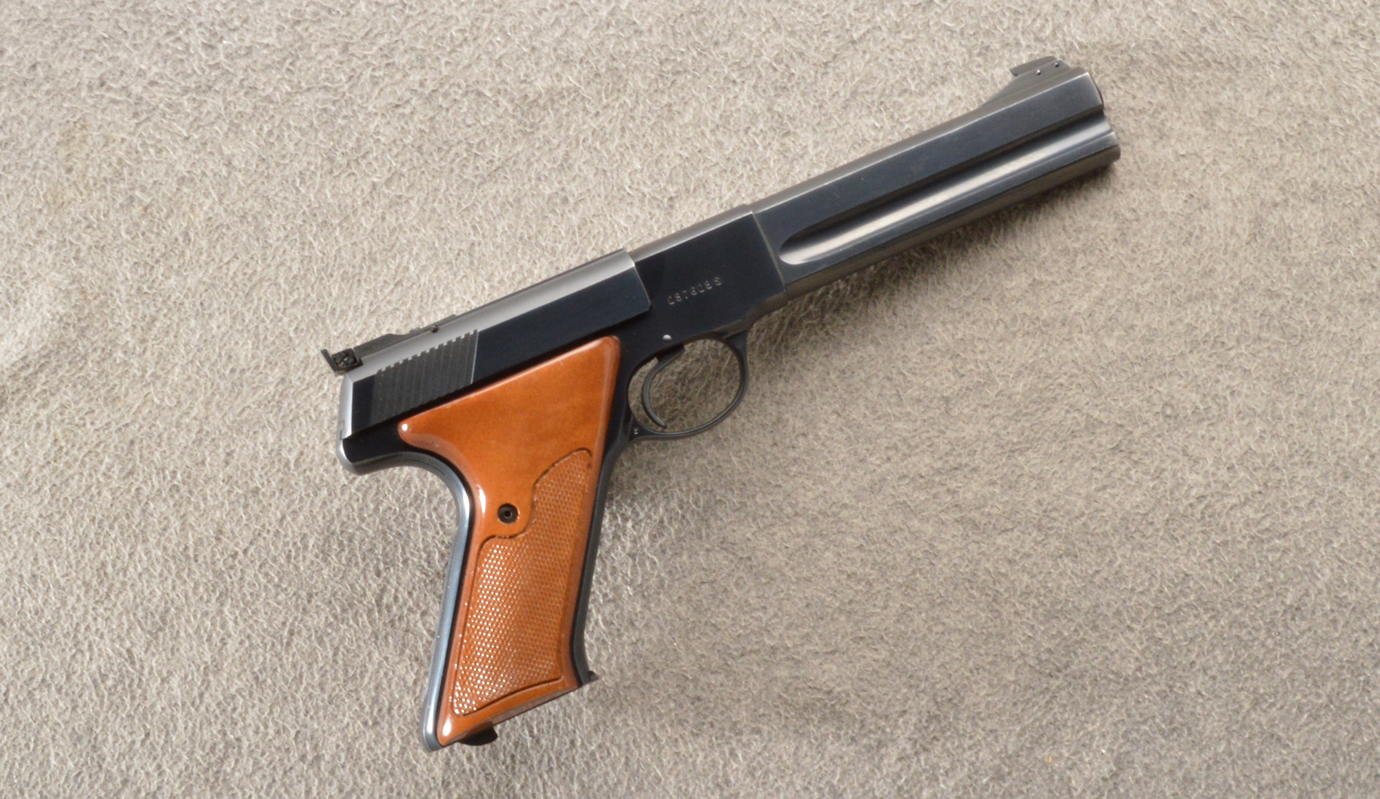 Colt ~ Match Target ~ .22lr - Bass Pro Shops