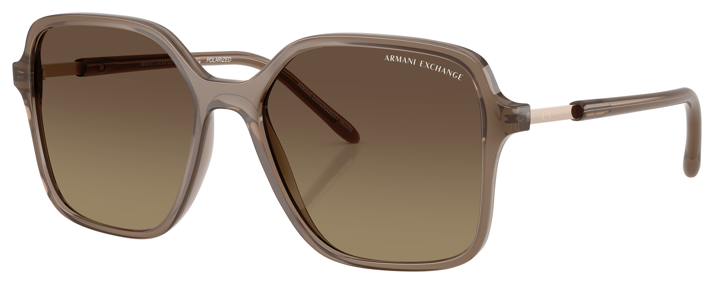 ARMANI Exchange AX4163S Gradient Polarized Sunglasses for Ladies