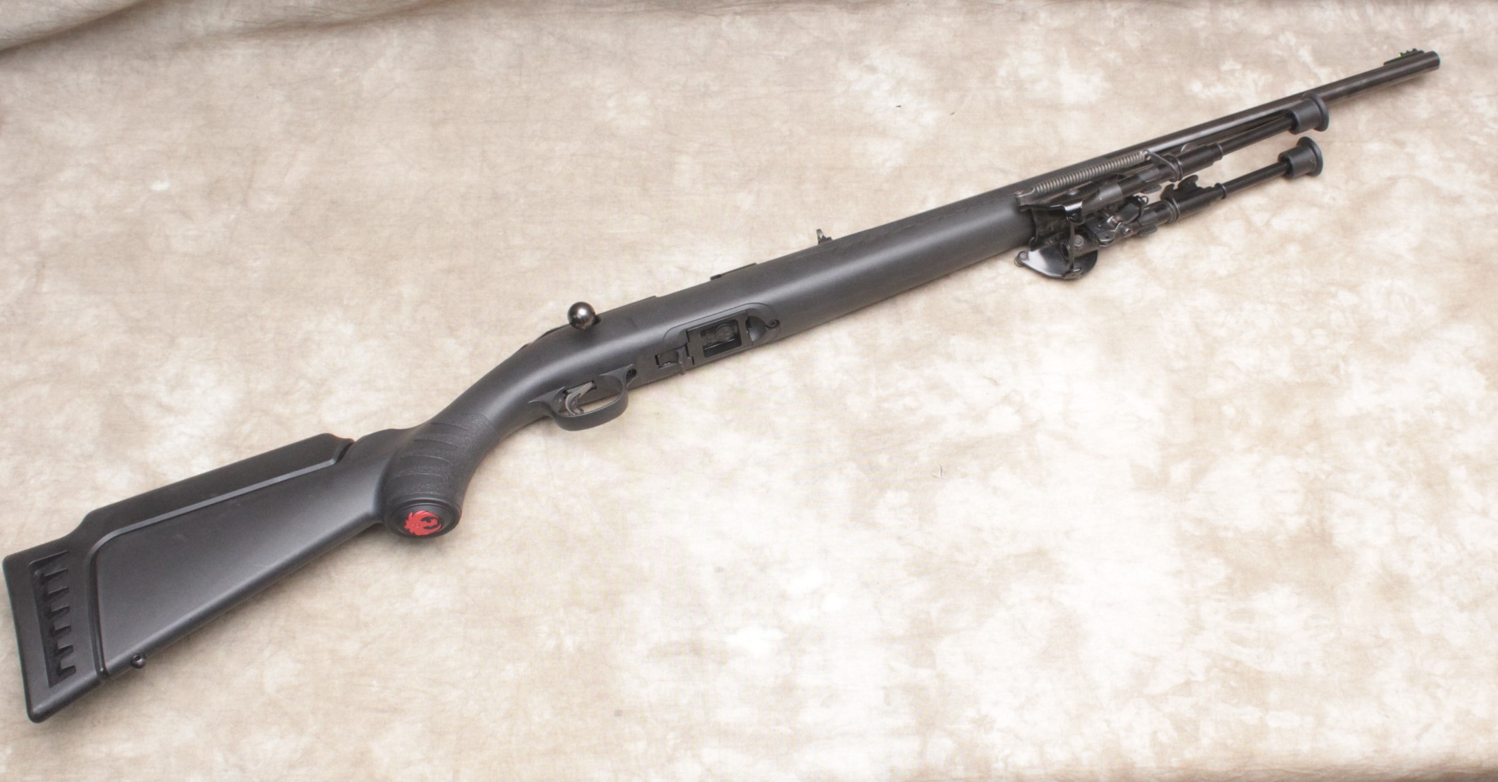 Ruger ~ American ~ .22 LR - Bass Pro Shops