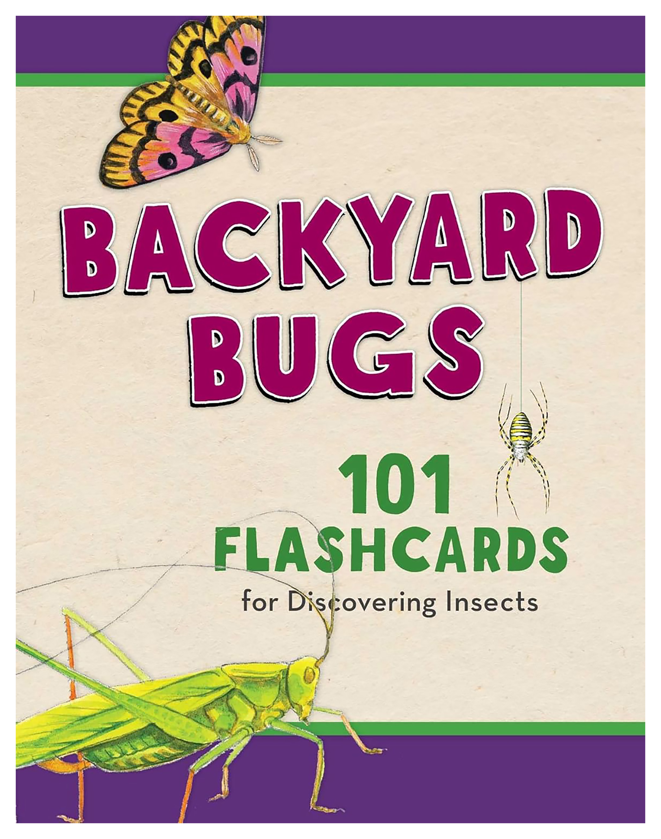 Image of FalconGuides Backyard Bugs 101 Flashcards for Discovering Insects by Todd Telander