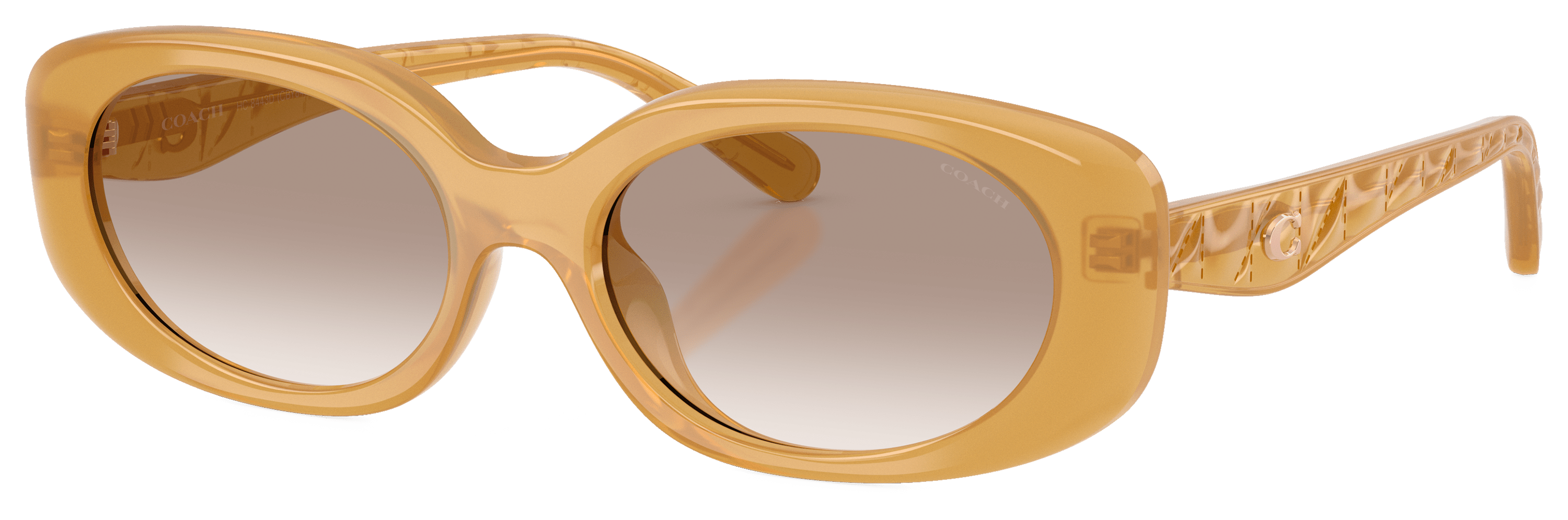 COACH HC8443D Sunglasses for Ladies